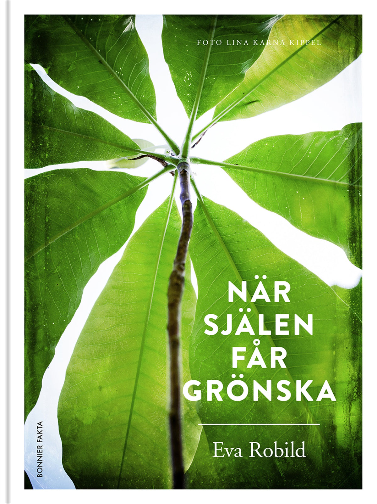 När själen får grönska – E-bok