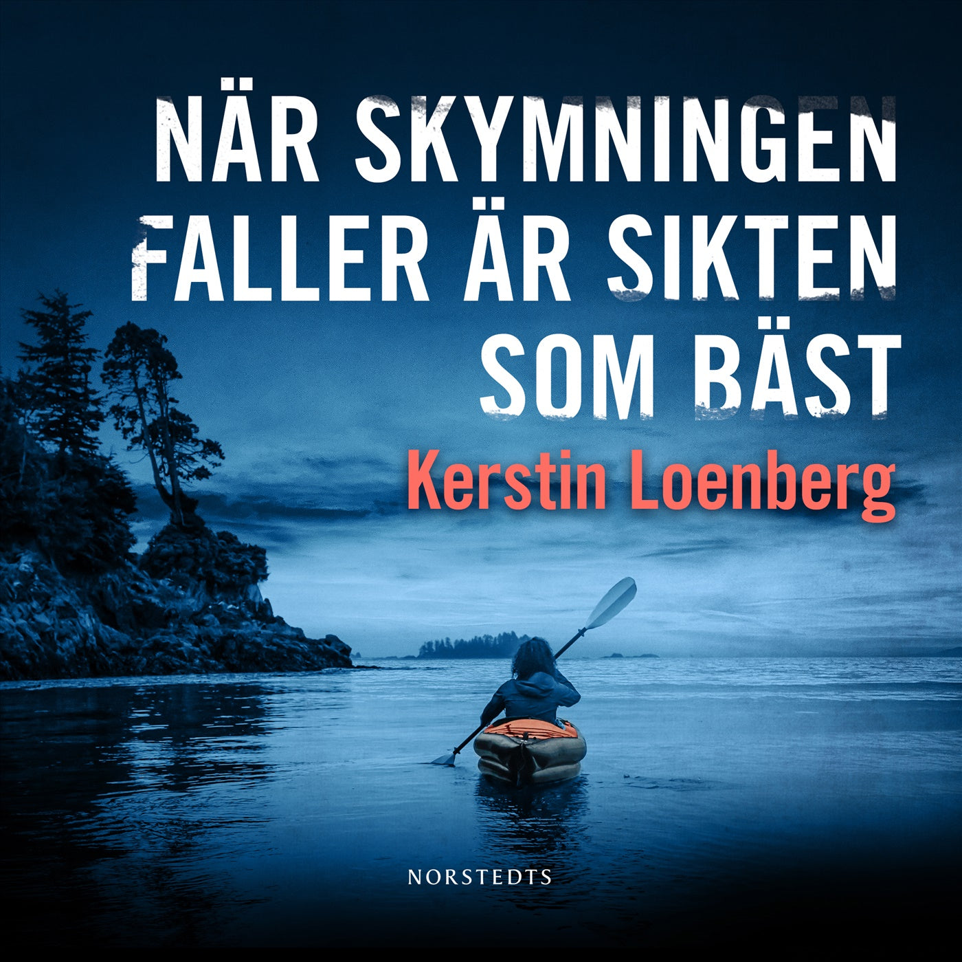 När skymningen faller är sikten som bäst – Ljudbok