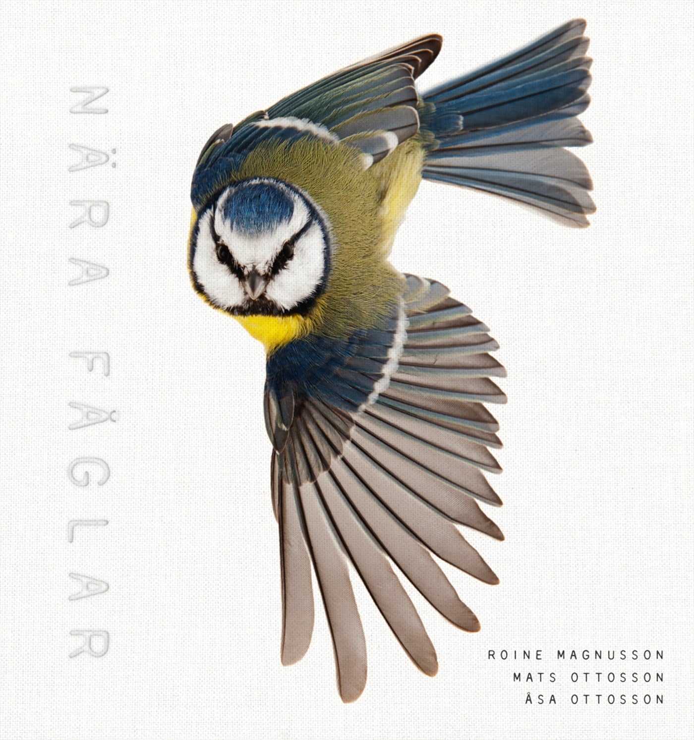 Nära fåglar – E-bok