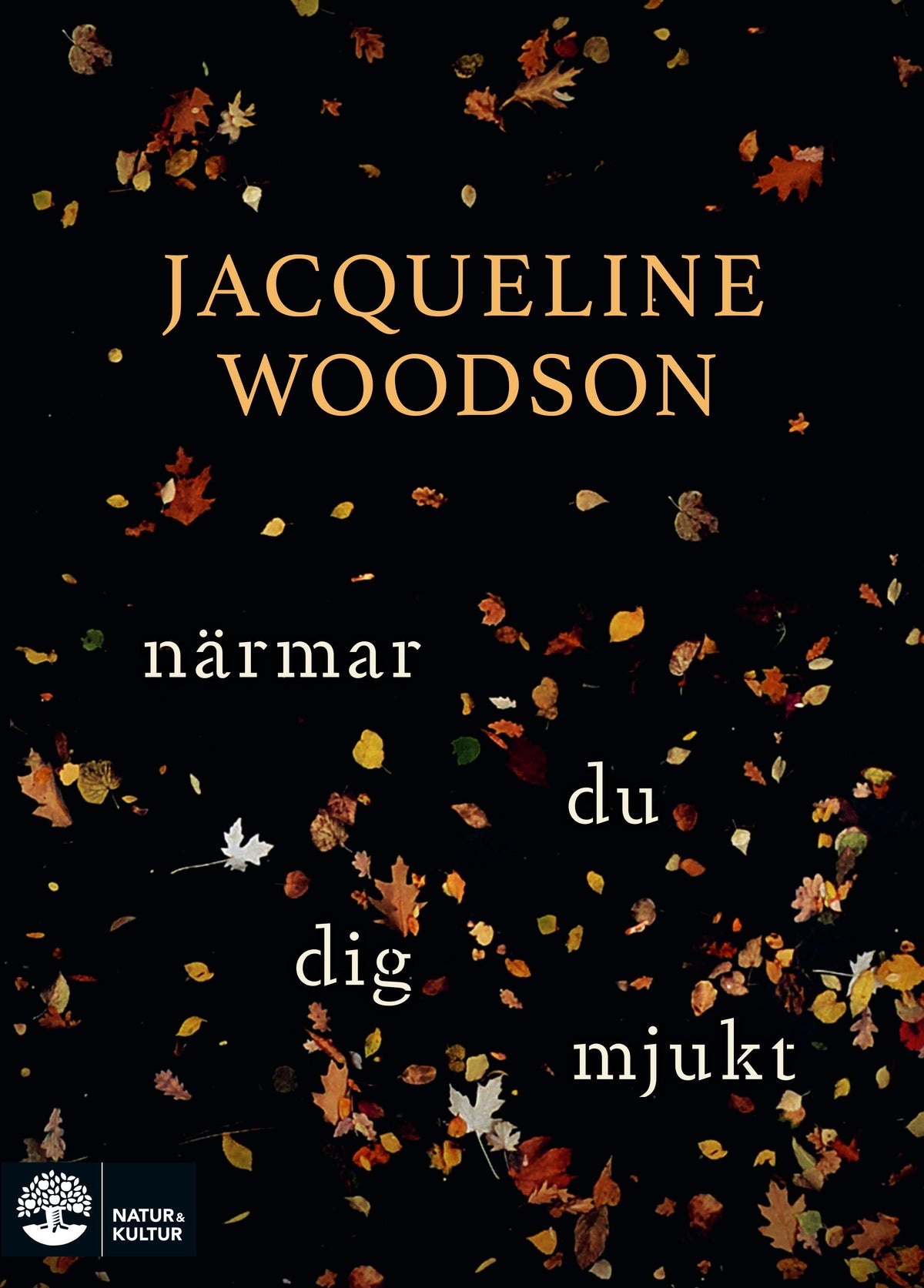 Närmar du dig mjukt – E-bok