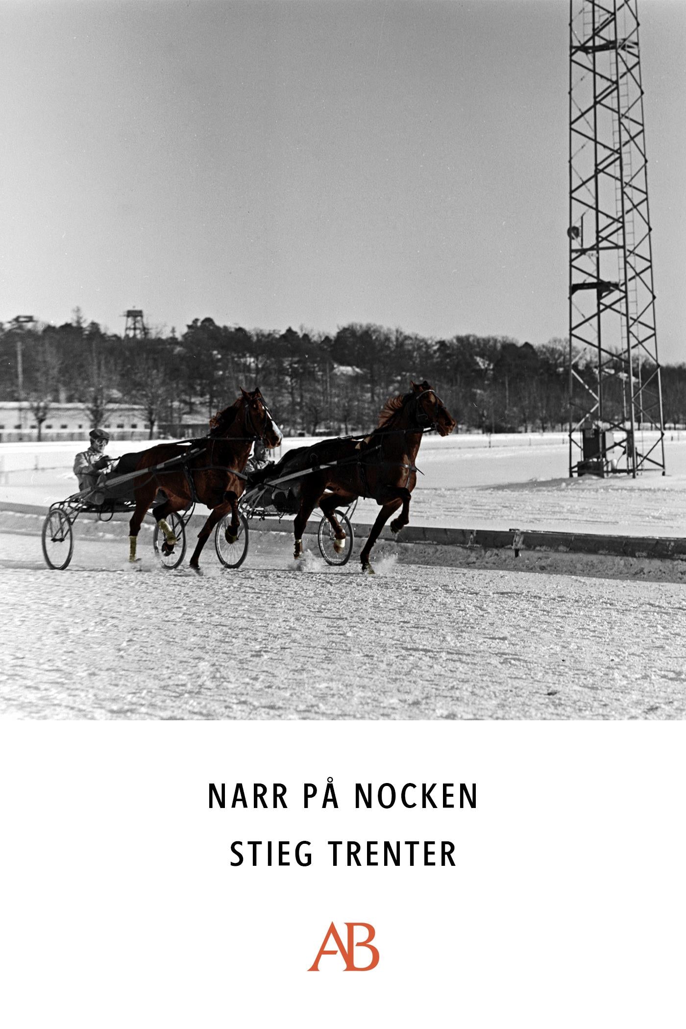 Narr på nocken – E-bok