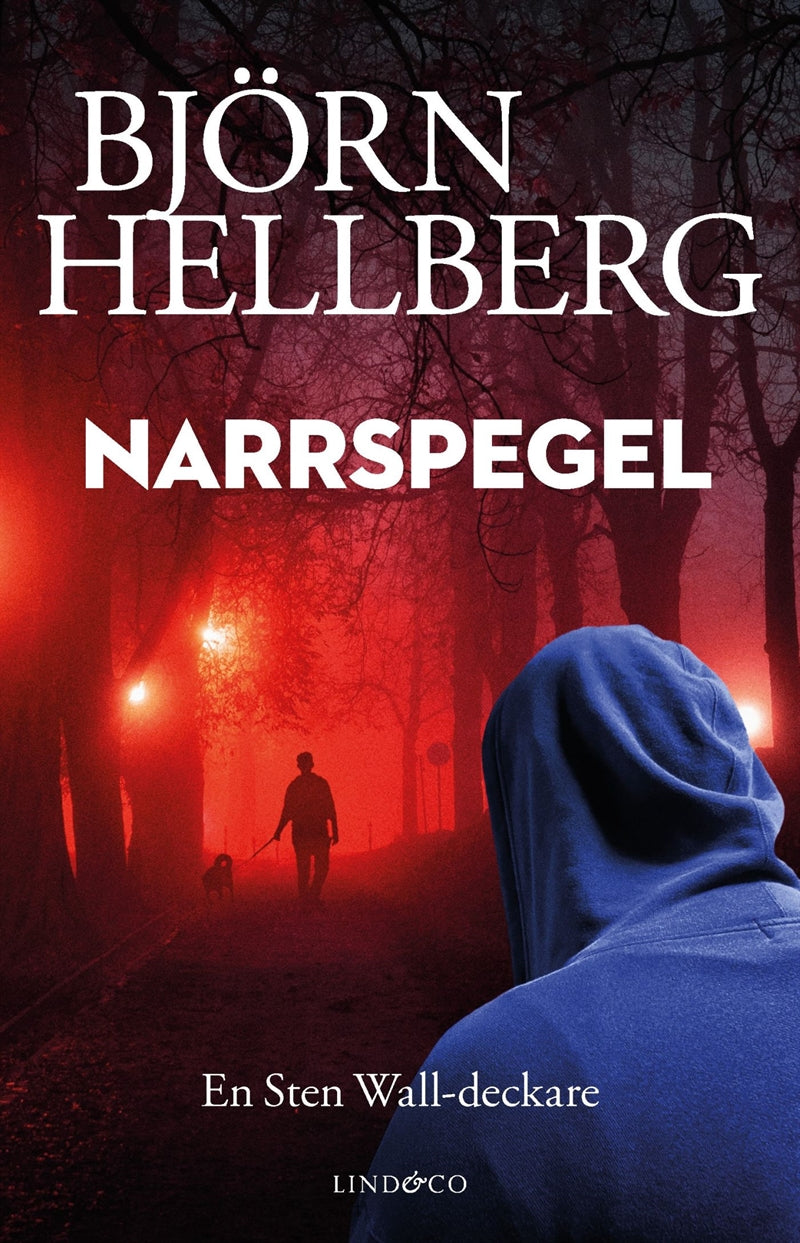 Narrspegel – E-bok