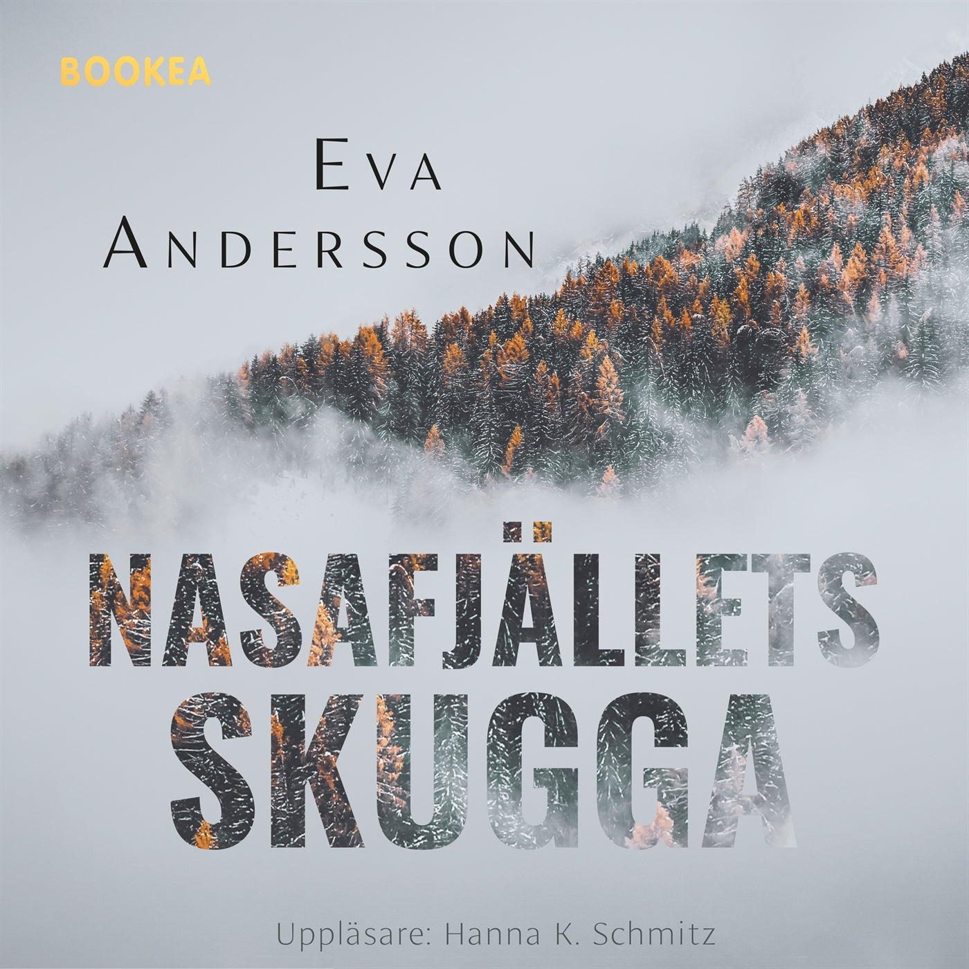 Nasafjällets skugga – Ljudbok