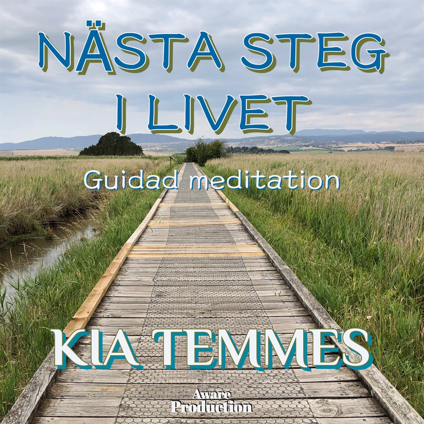Nästa steg i livet, guidad meditation – Ljudbok