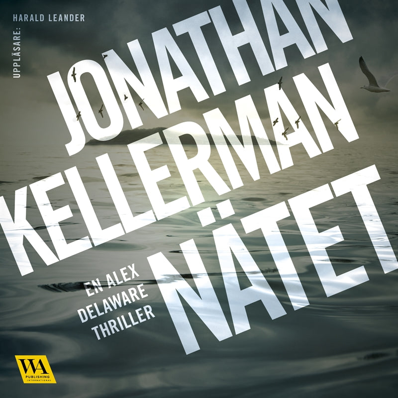 Nätet – Ljudbok