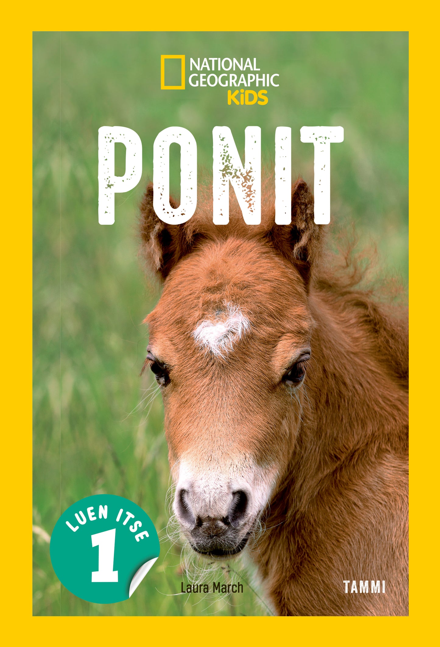 National Geographic. Ponit – E-bok