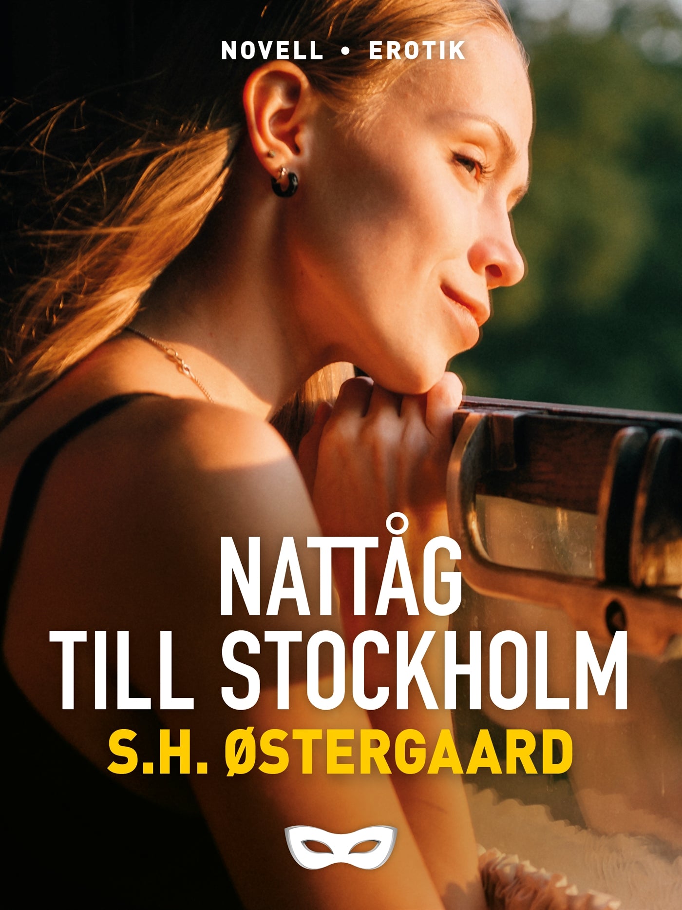 Nattåg till Stockholm – E-bok