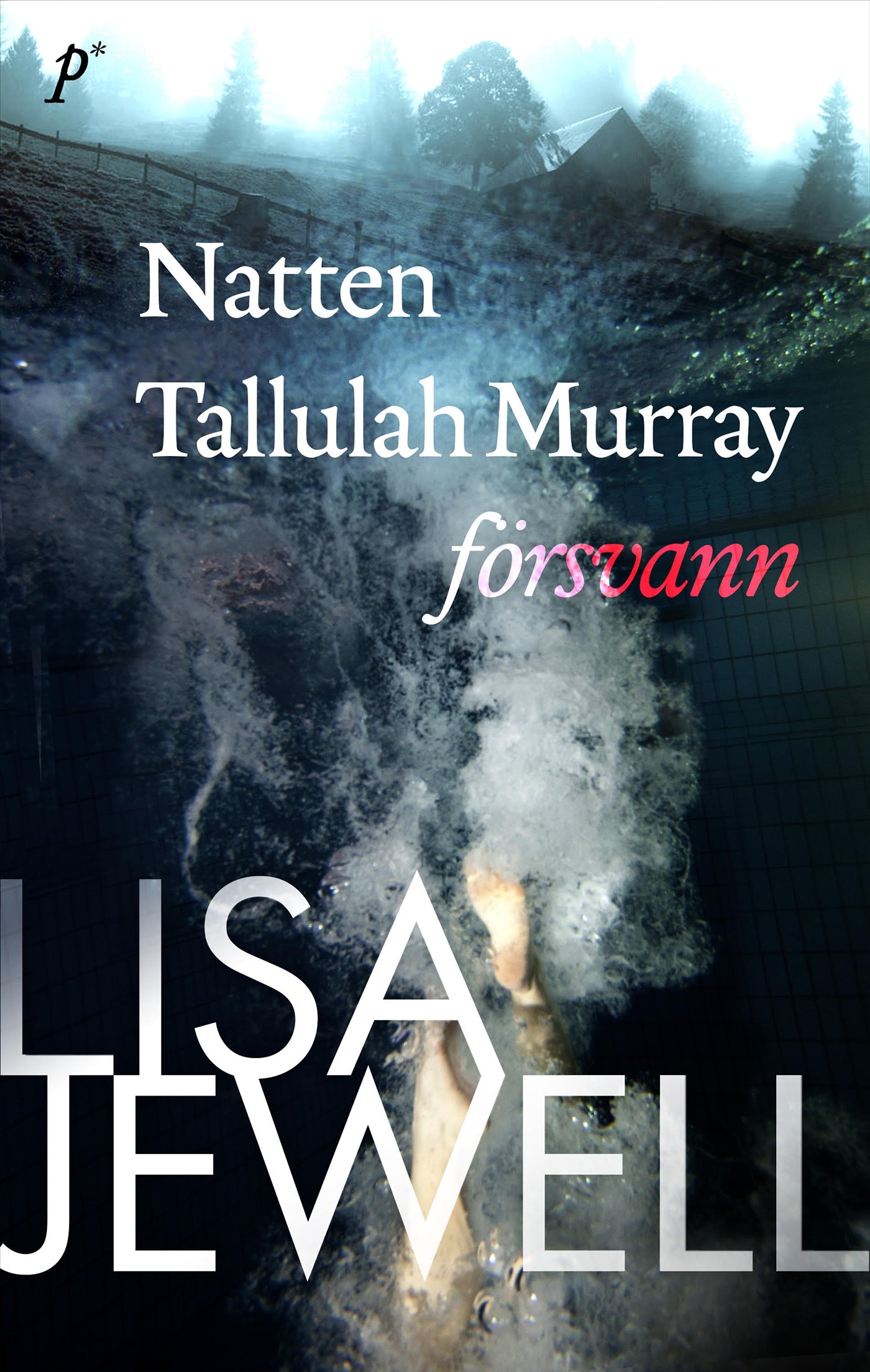 Natten Tallulah Murray försvann – E-bok