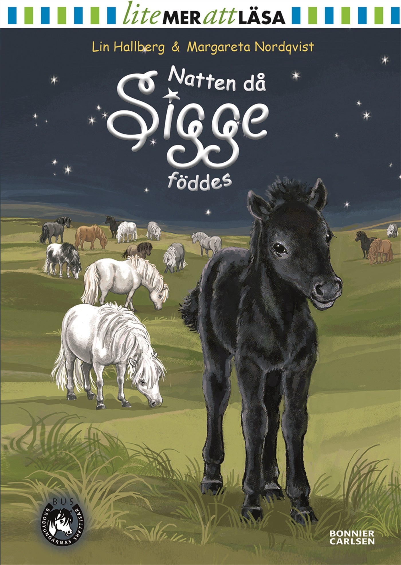 Natten då Sigge föddes – E-bok