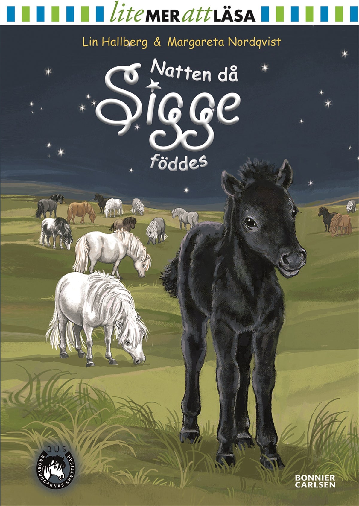 Natten då Sigge föddes – E-bok