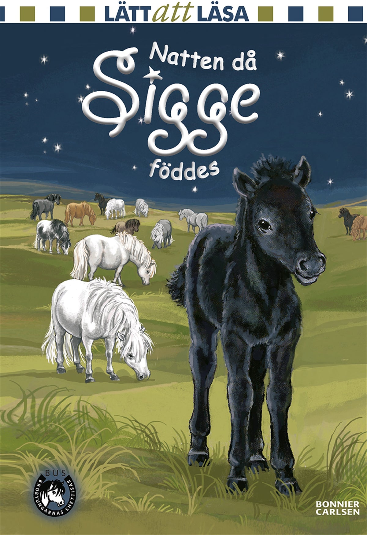 Natten då Sigge föddes – E-bok