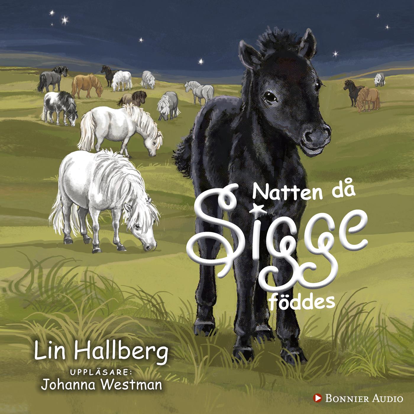 Natten då Sigge föddes – Ljudbok