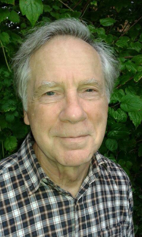 Nattens historia : nordiskt mörker och ljus under tusen år - Digital - Laddas ner