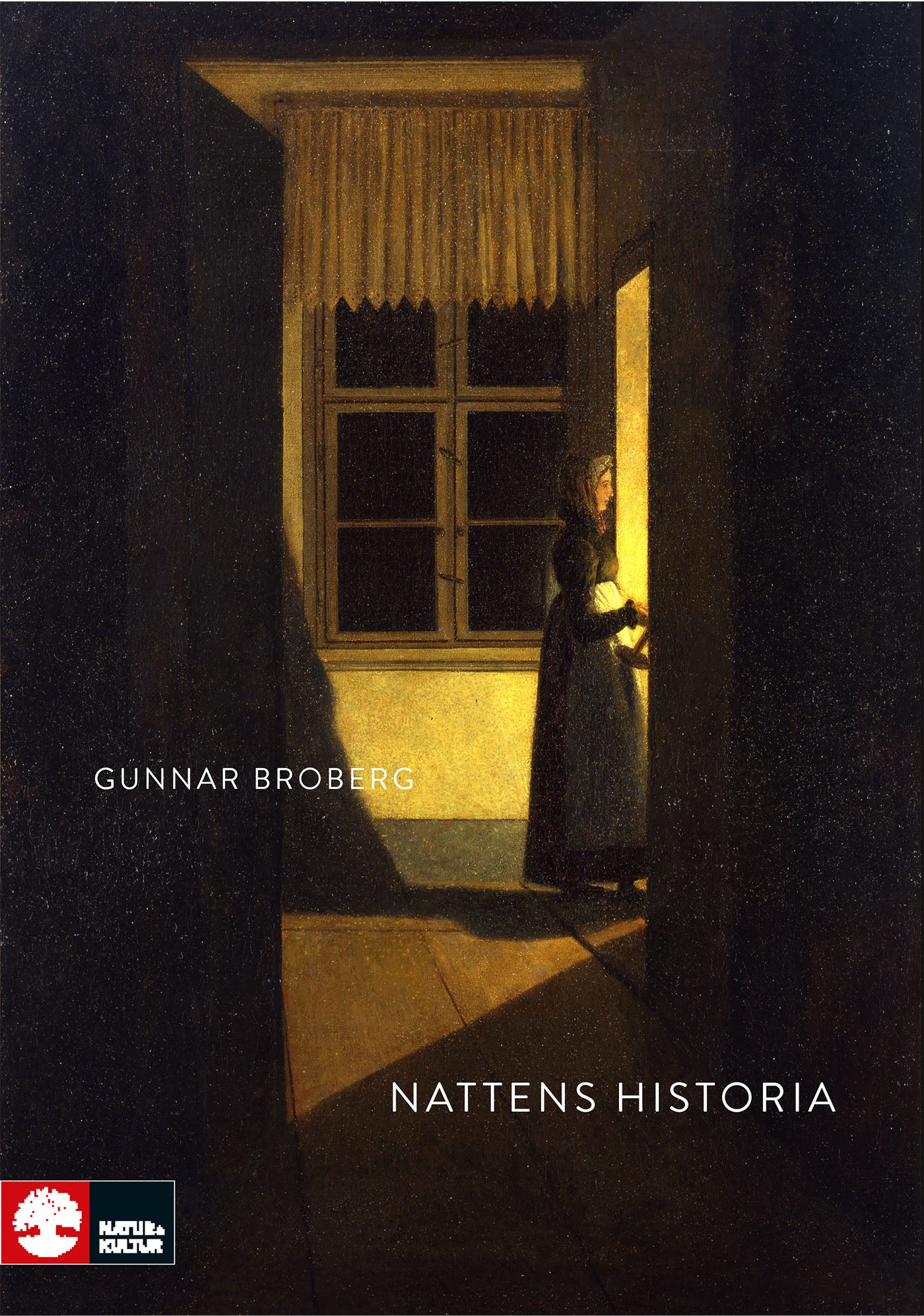 Nattens historia : nordiskt mörker och ljus under tusen år – E-bok