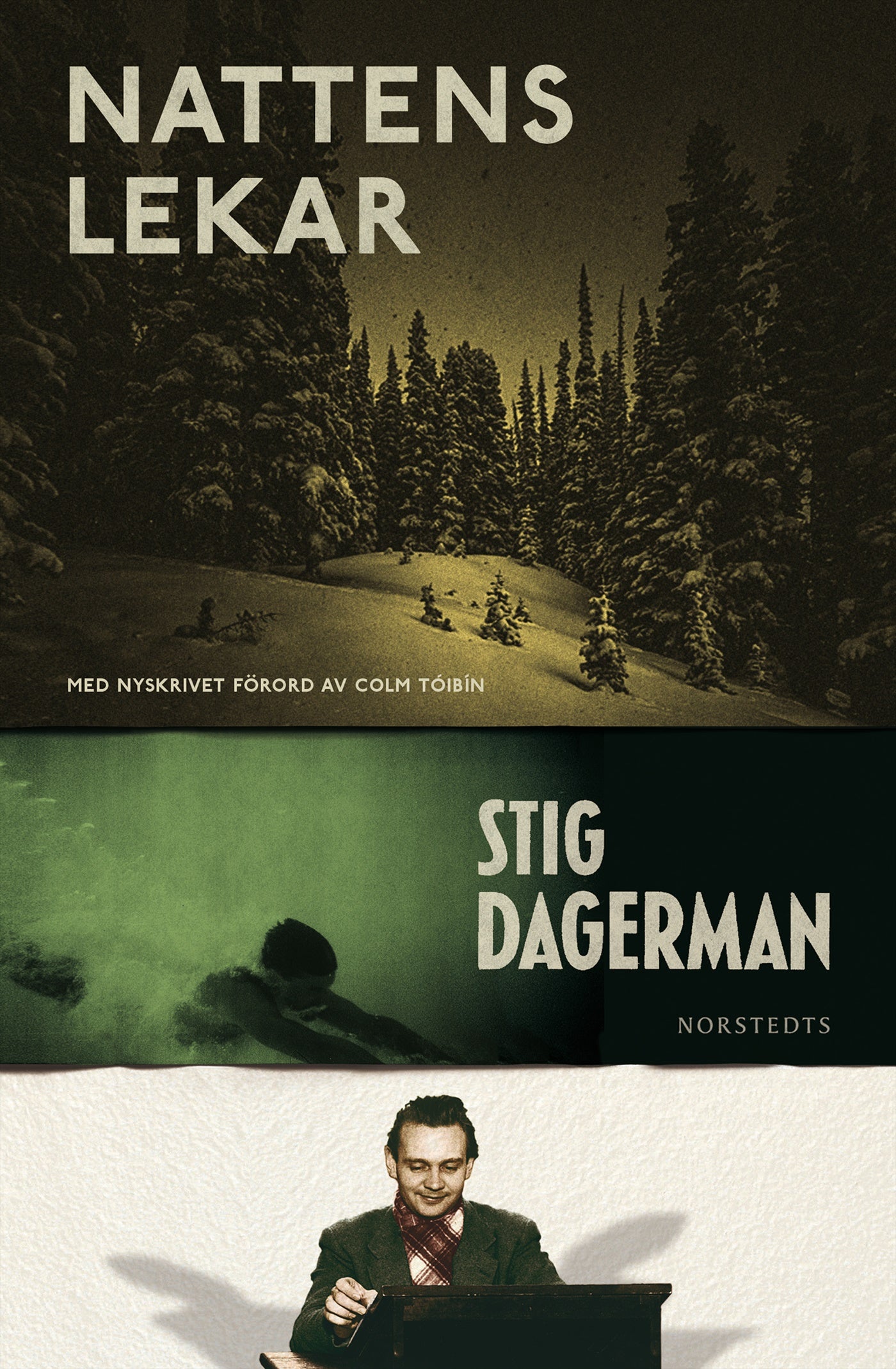 Nattens lekar – E-bok