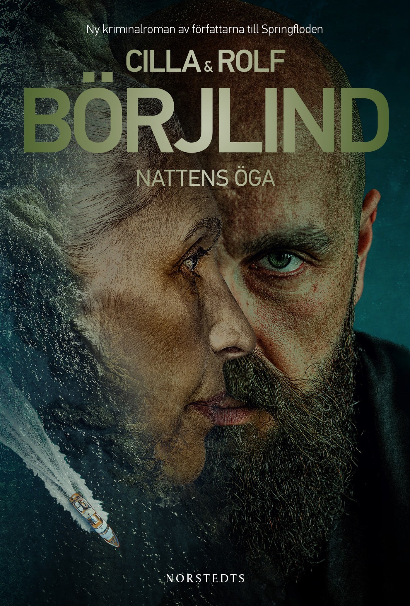 Nattens öga – E-bok