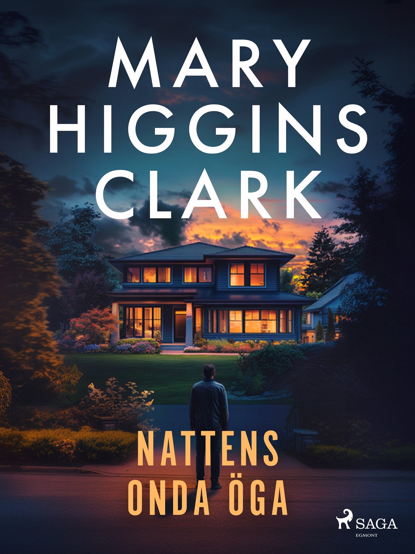 Nattens onda öga – E-bok