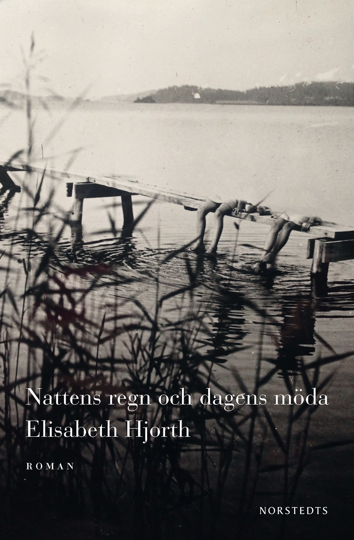 Nattens regn och dagens möda – E-bok