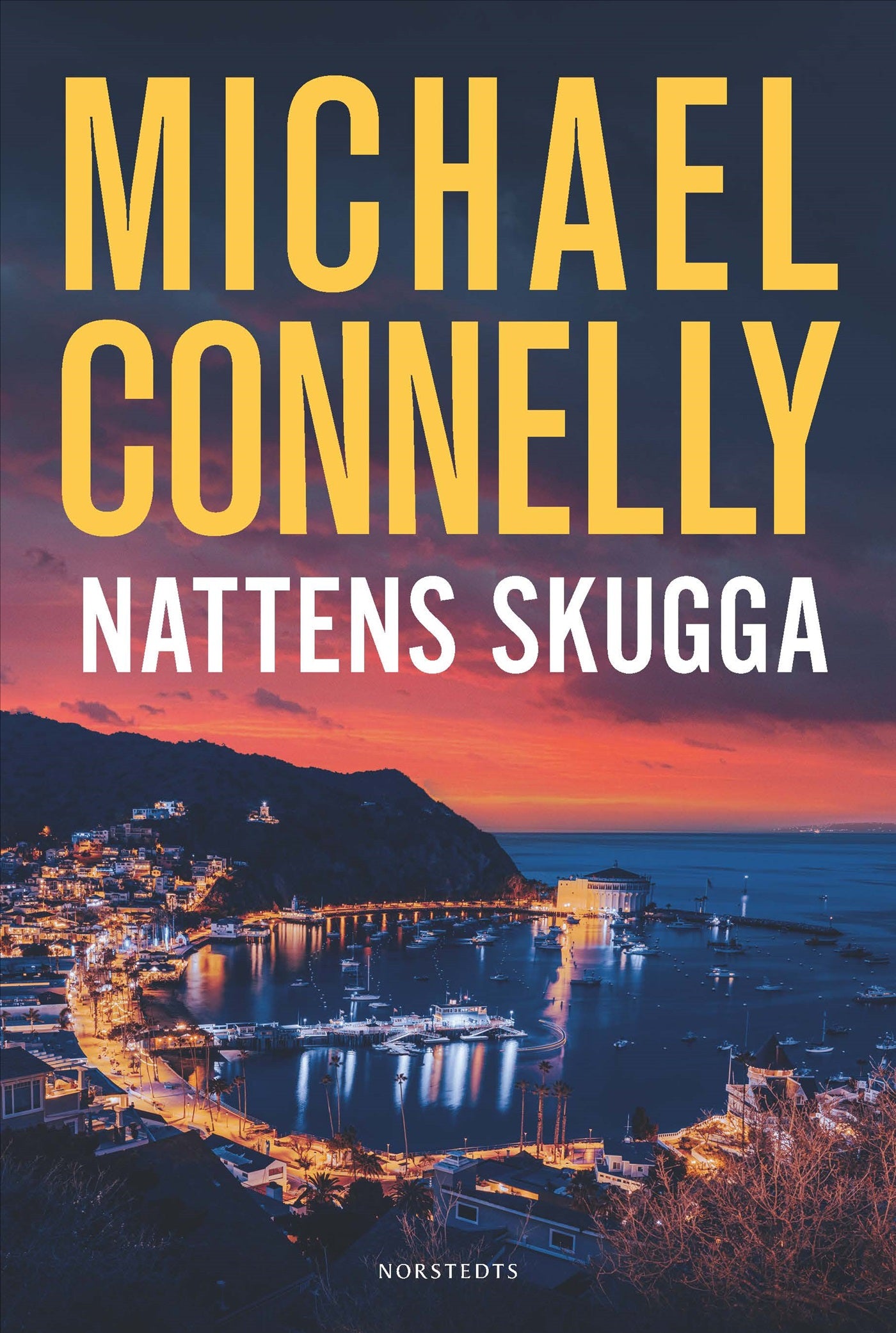 Nattens skugga – E-bok