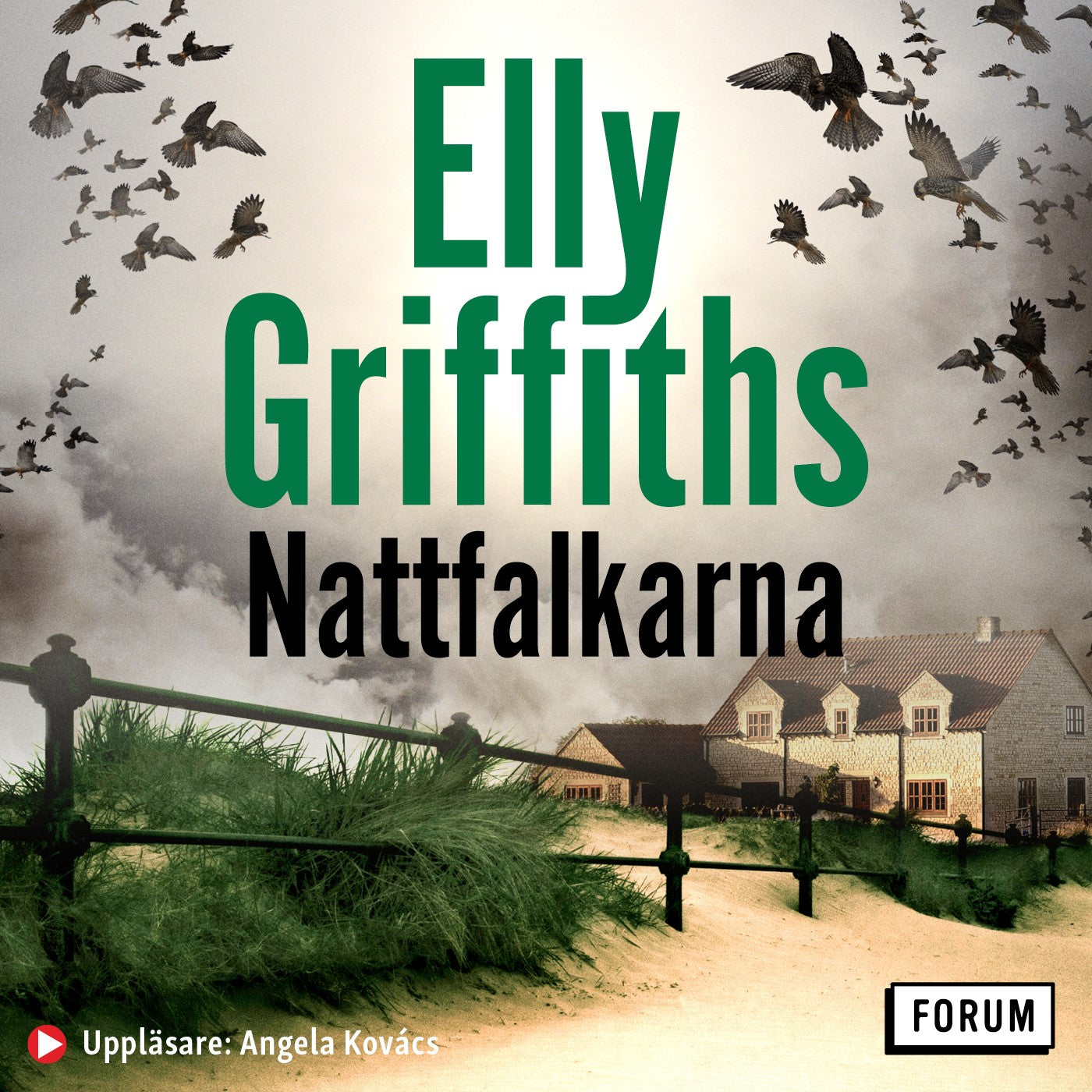 Nattfalkarna – Ljudbok