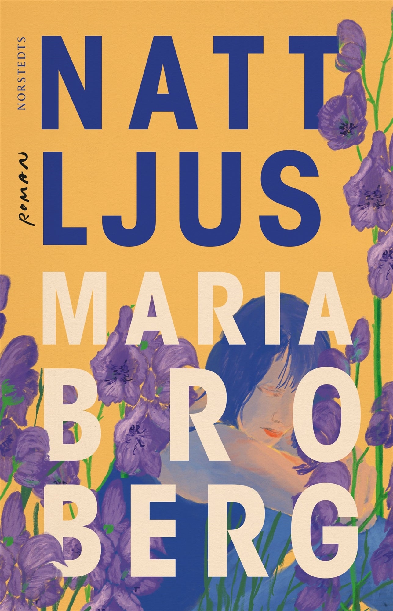 Nattljus – E-bok