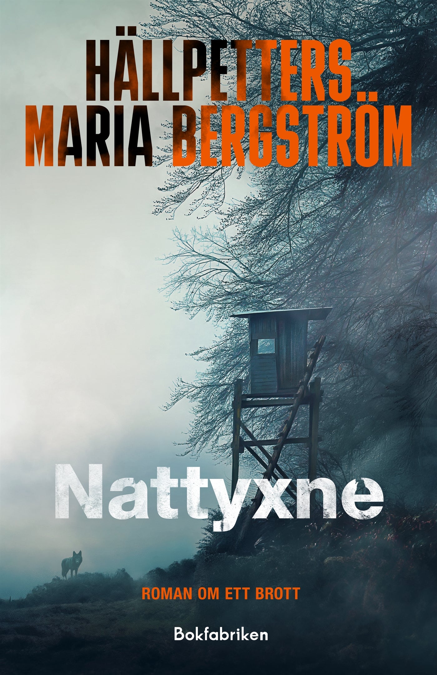 Nattyxne – E-bok