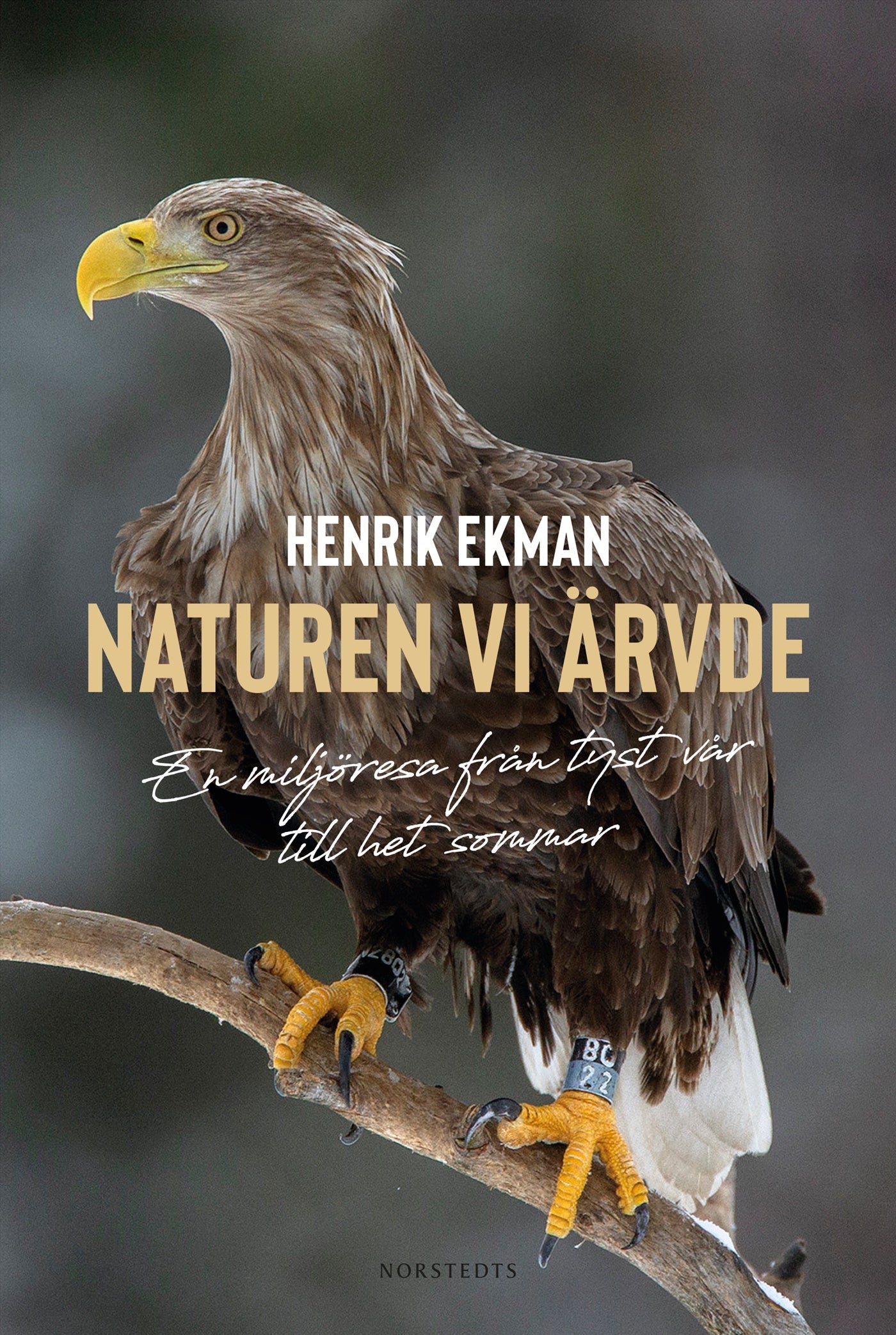 Naturen vi ärvde : En miljöresa från tyst vår till het sommar – E-bok