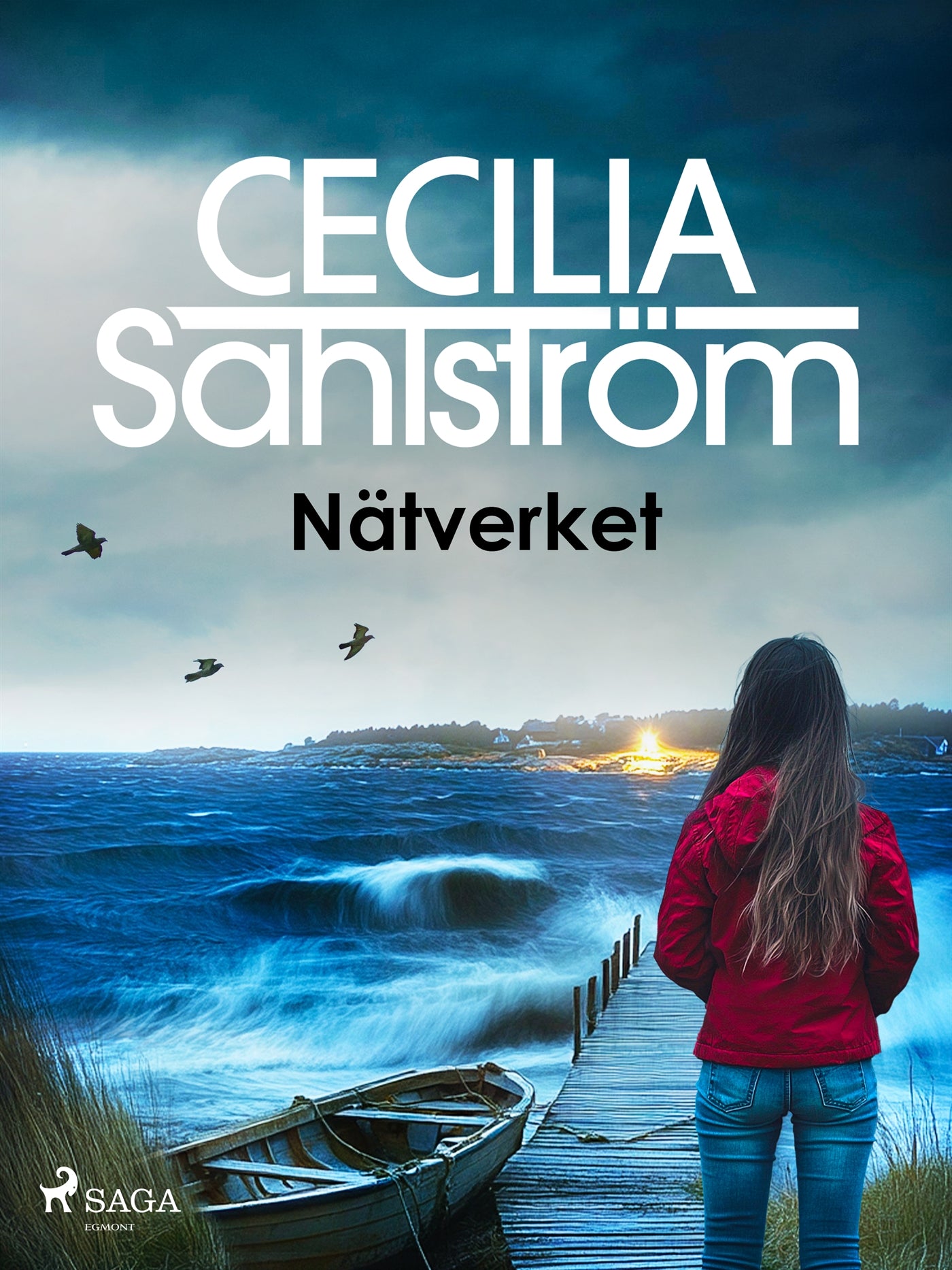 Nätverket – E-bok