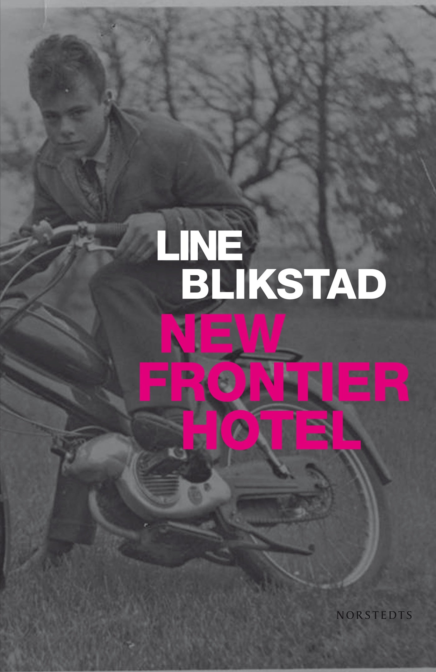 New Frontier Hotel – E-bok