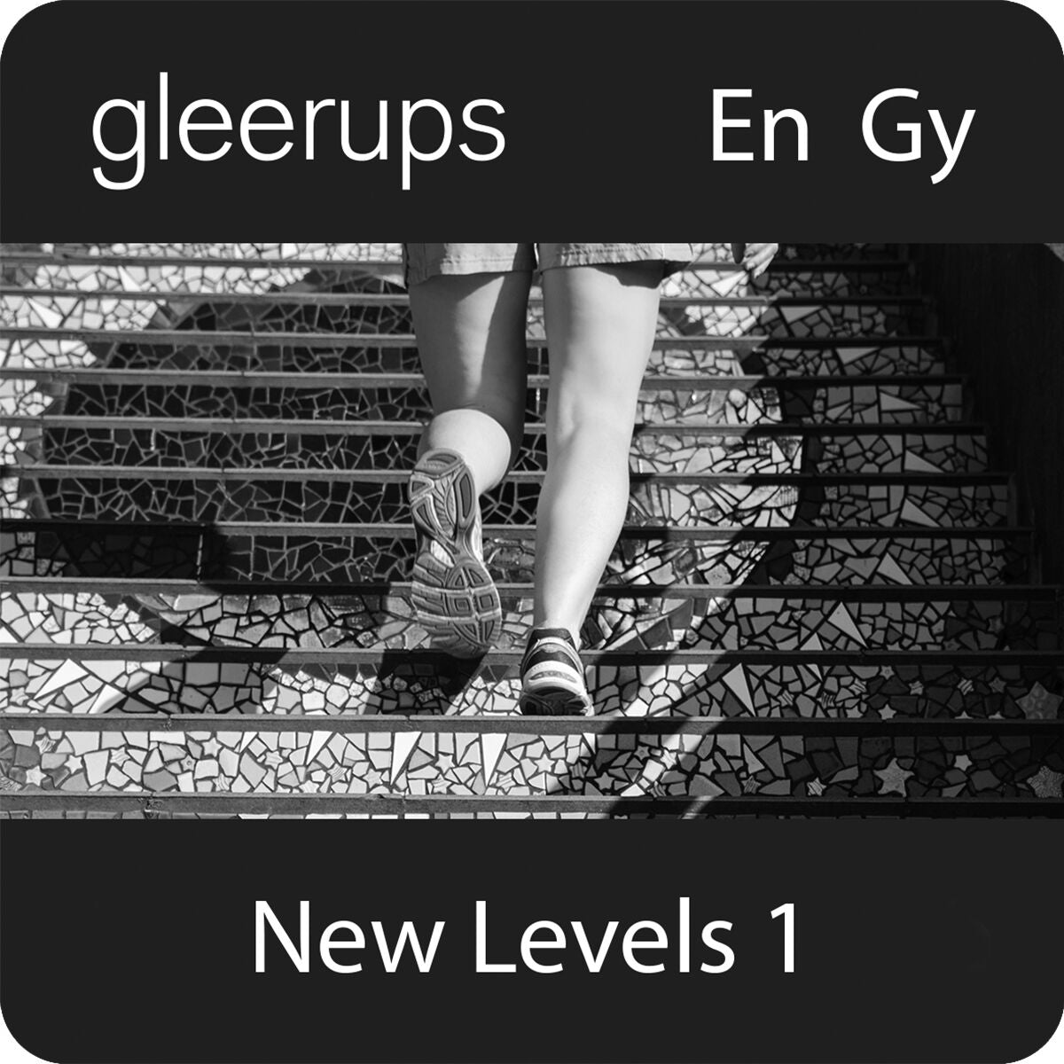 New Levels 1, digitalt läromedel, lärare, 12 mån (OBS! Endast för lärare)
