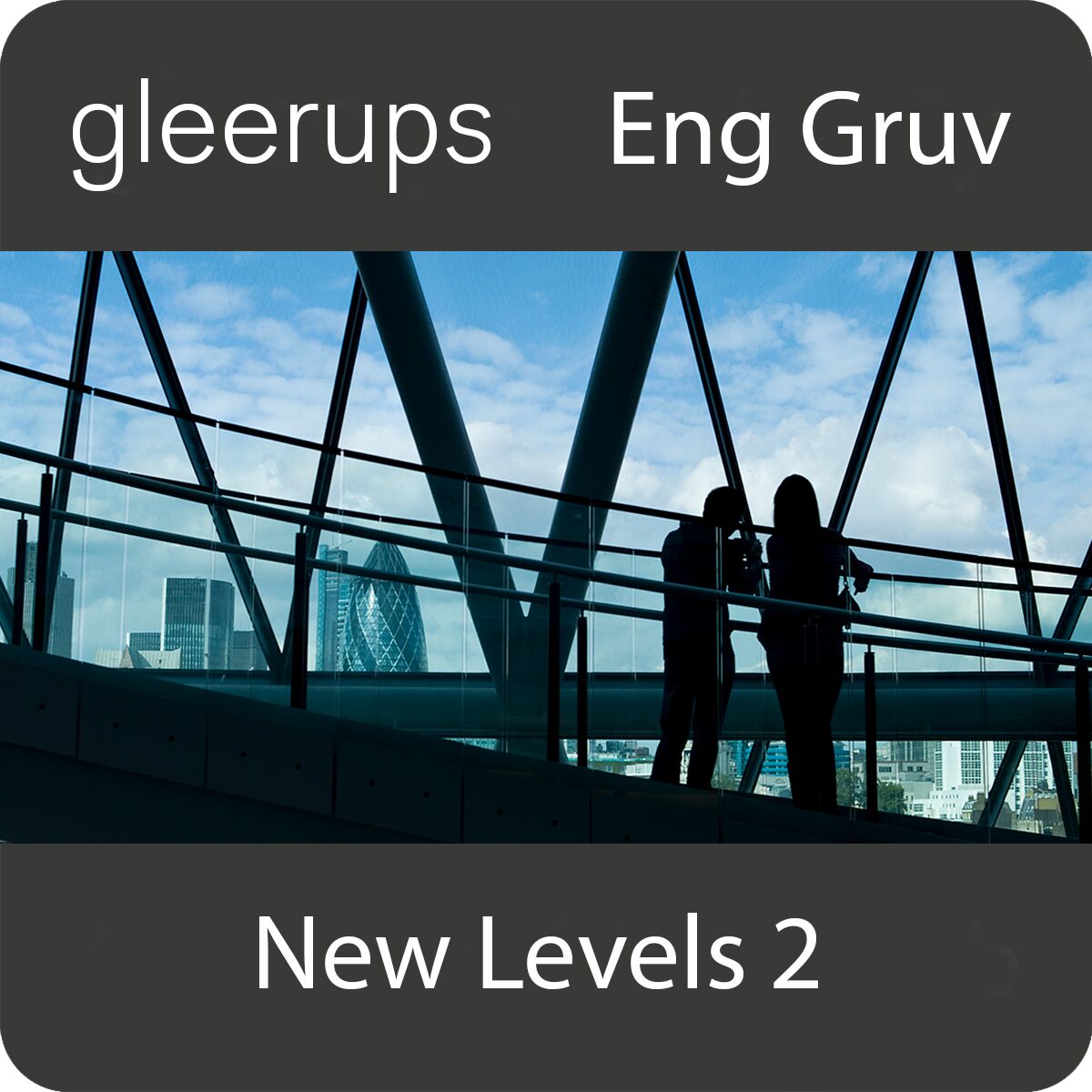 New Levels 2, 2:a upplagan, digitalt, lärare, 12 mån (OBS! Endast för lärare)