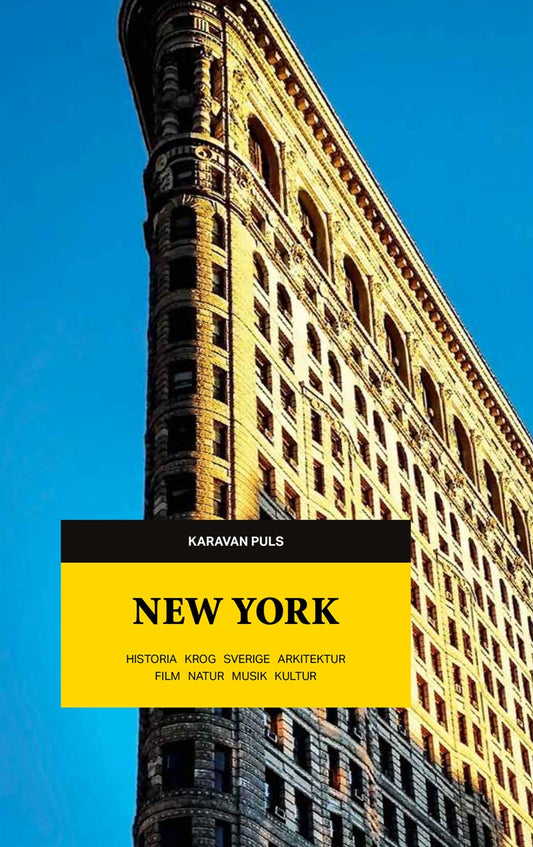 New York : historia, krog, Sverige, arkitektur, film, natur, musik, kultur – E-bok
