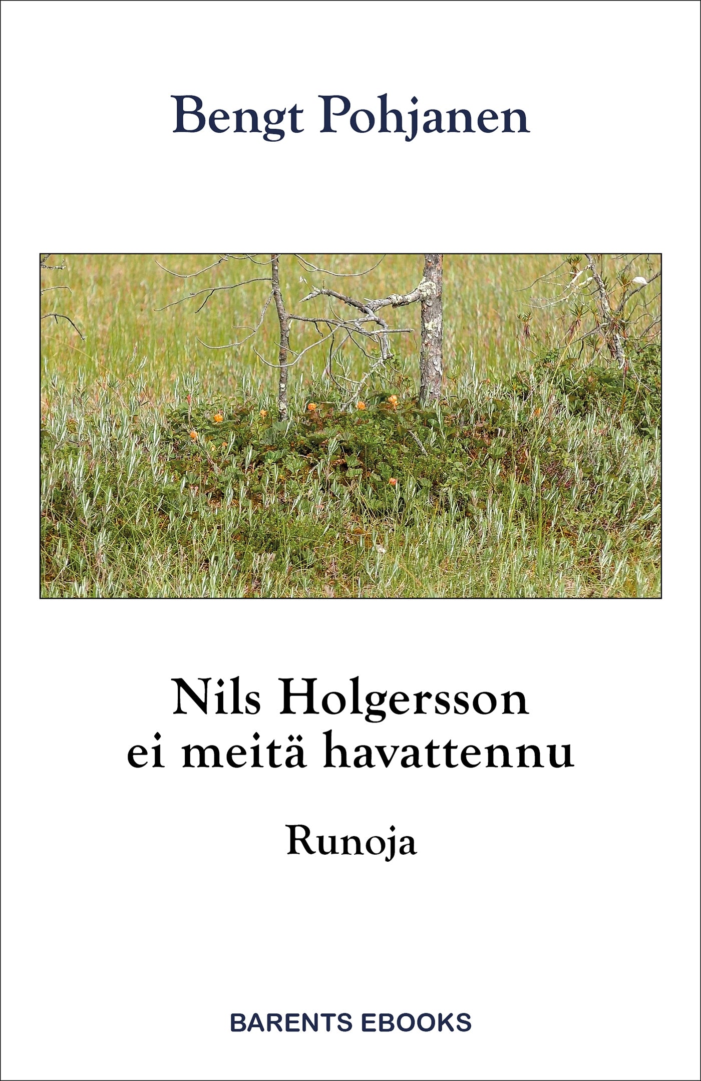 Nils Holgersson ei meitä havattennu – E-bok