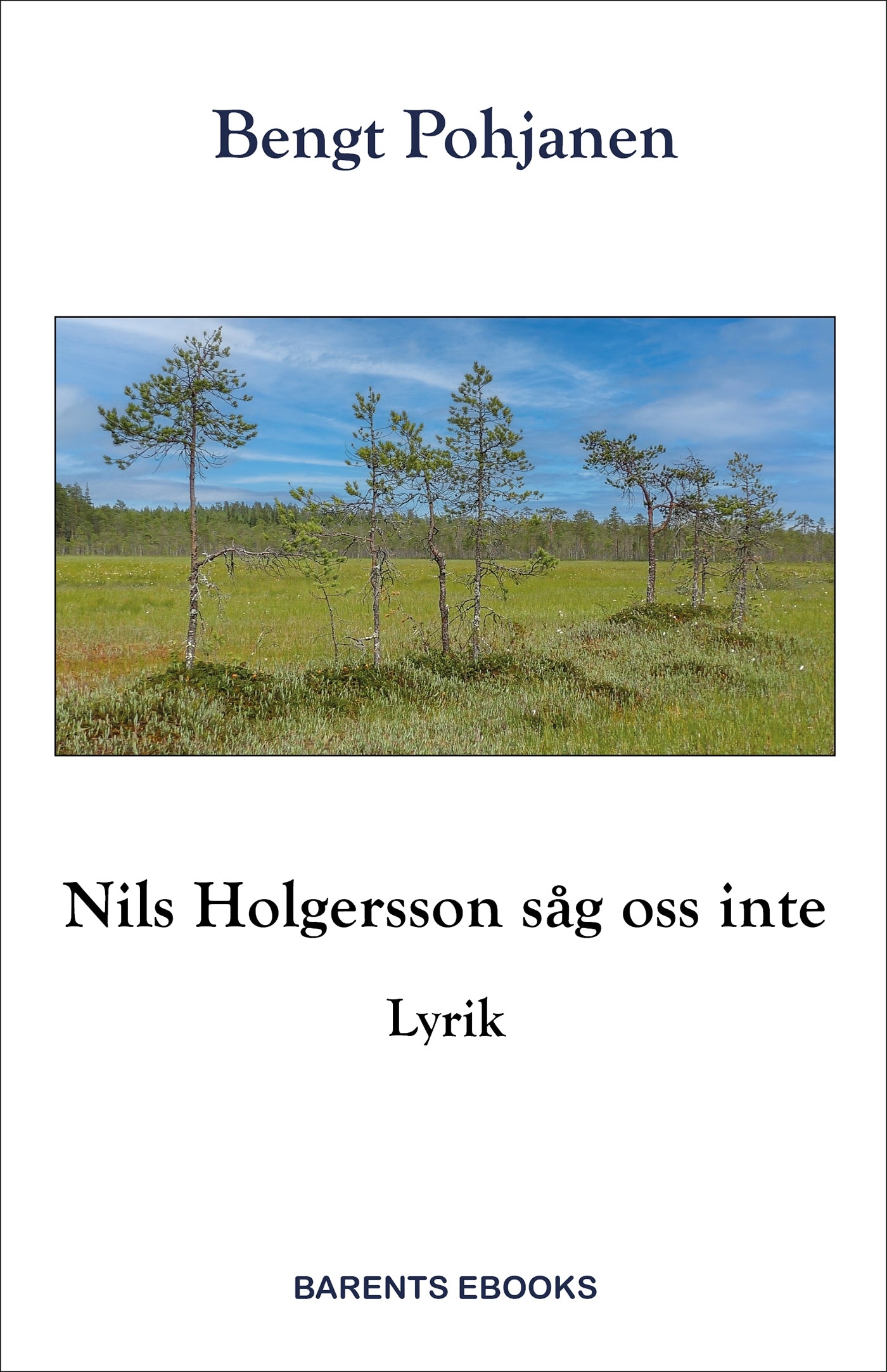 Nils Holgersson såg oss inte – E-bok