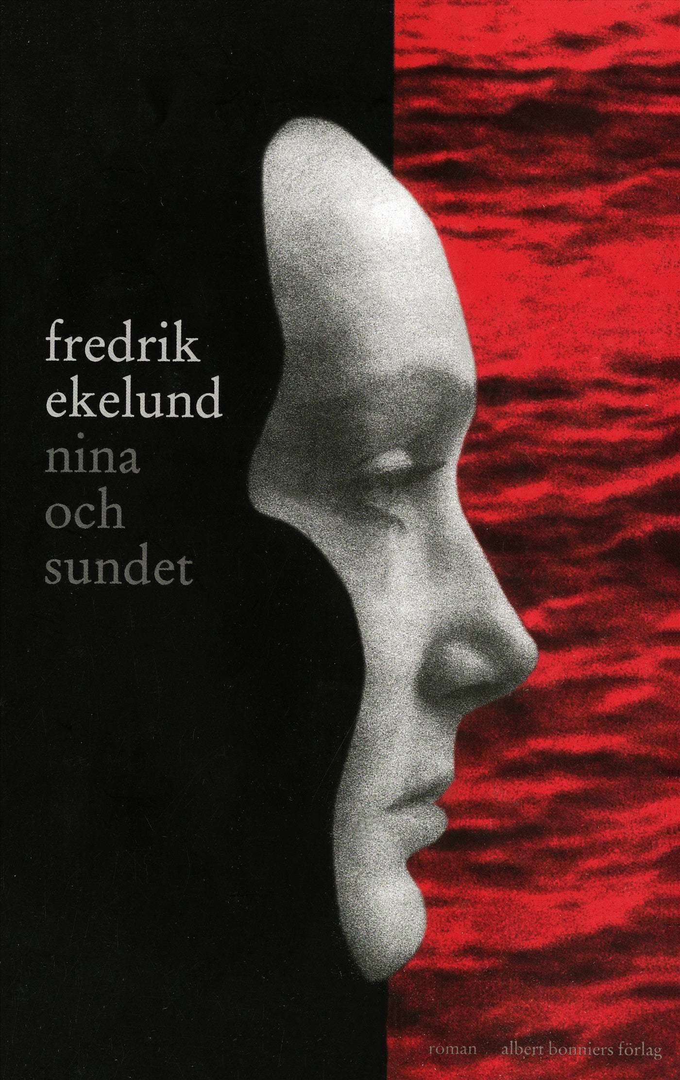 Nina och sundet – E-bok