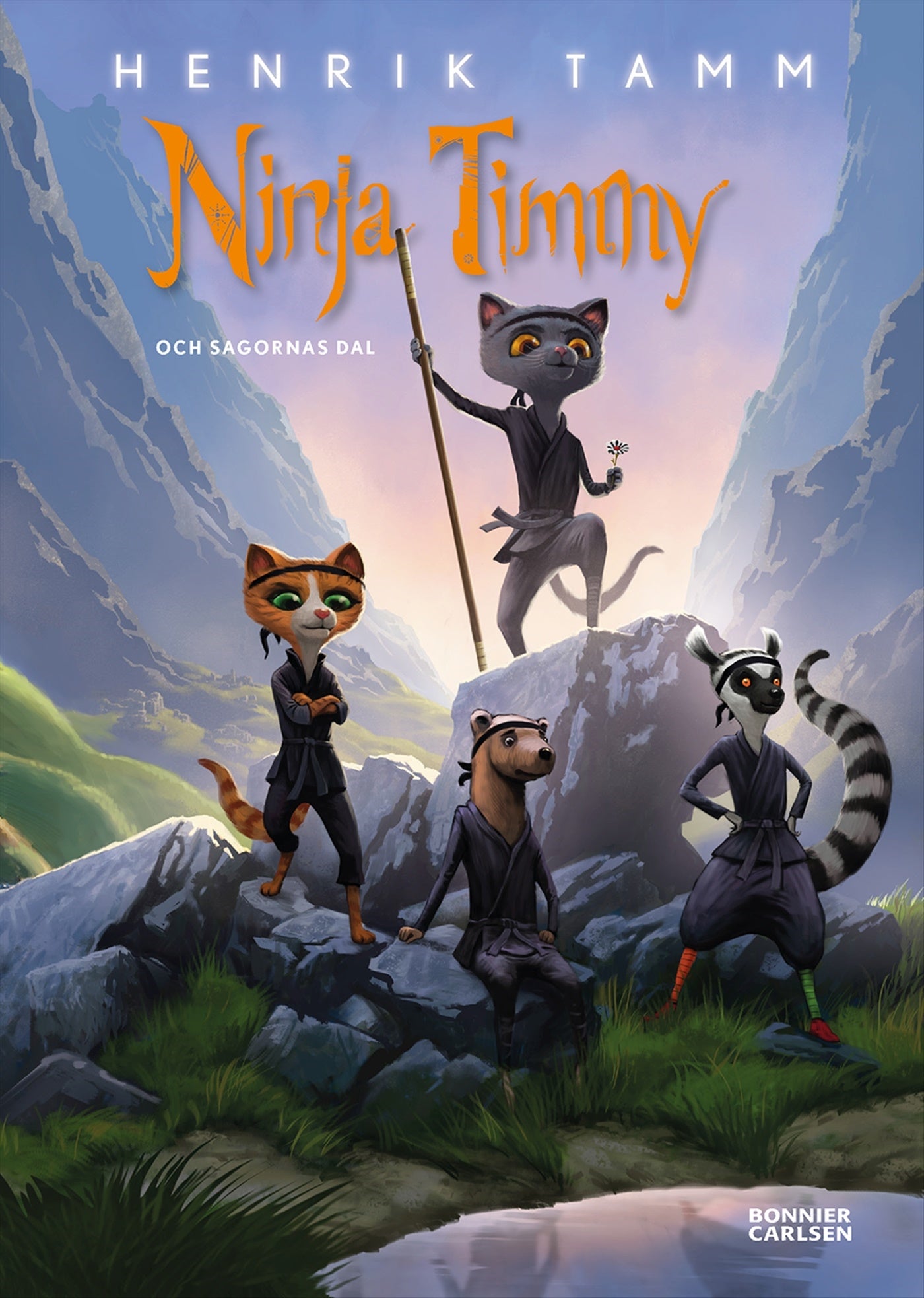 Ninja Timmy och sagornas dal – E-bok