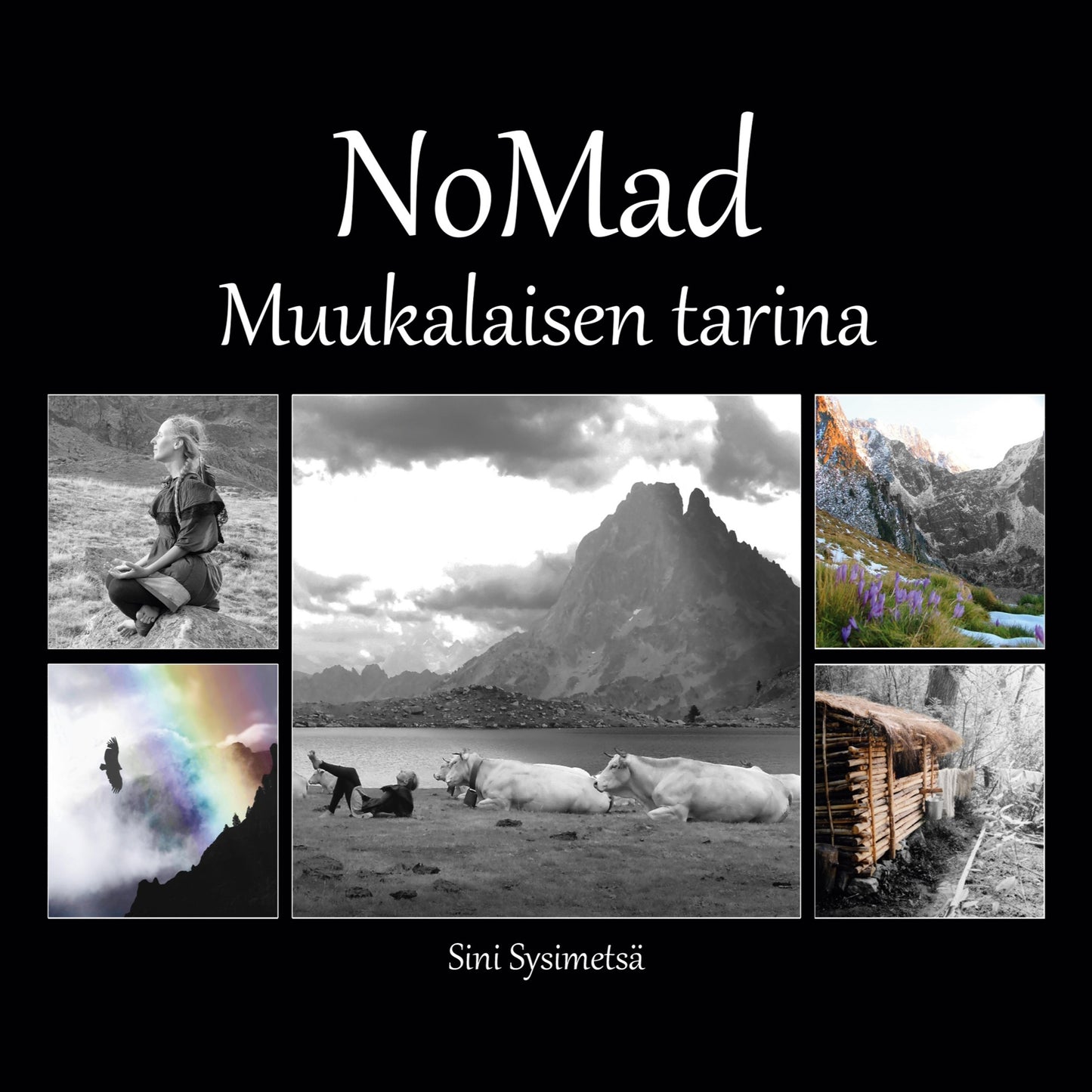 NoMad: Muukalaisen tarina – E-bok