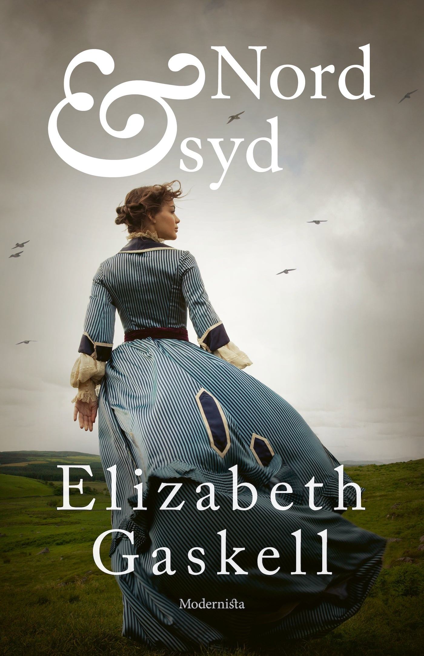 Nord och syd – E-bok