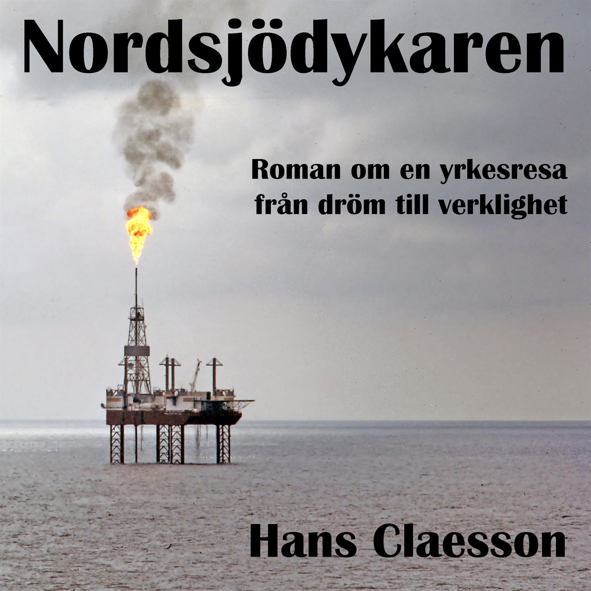 Nordsjödykaren - Roman om en yrkesresa från dröm till verklighet – Ljudbok
