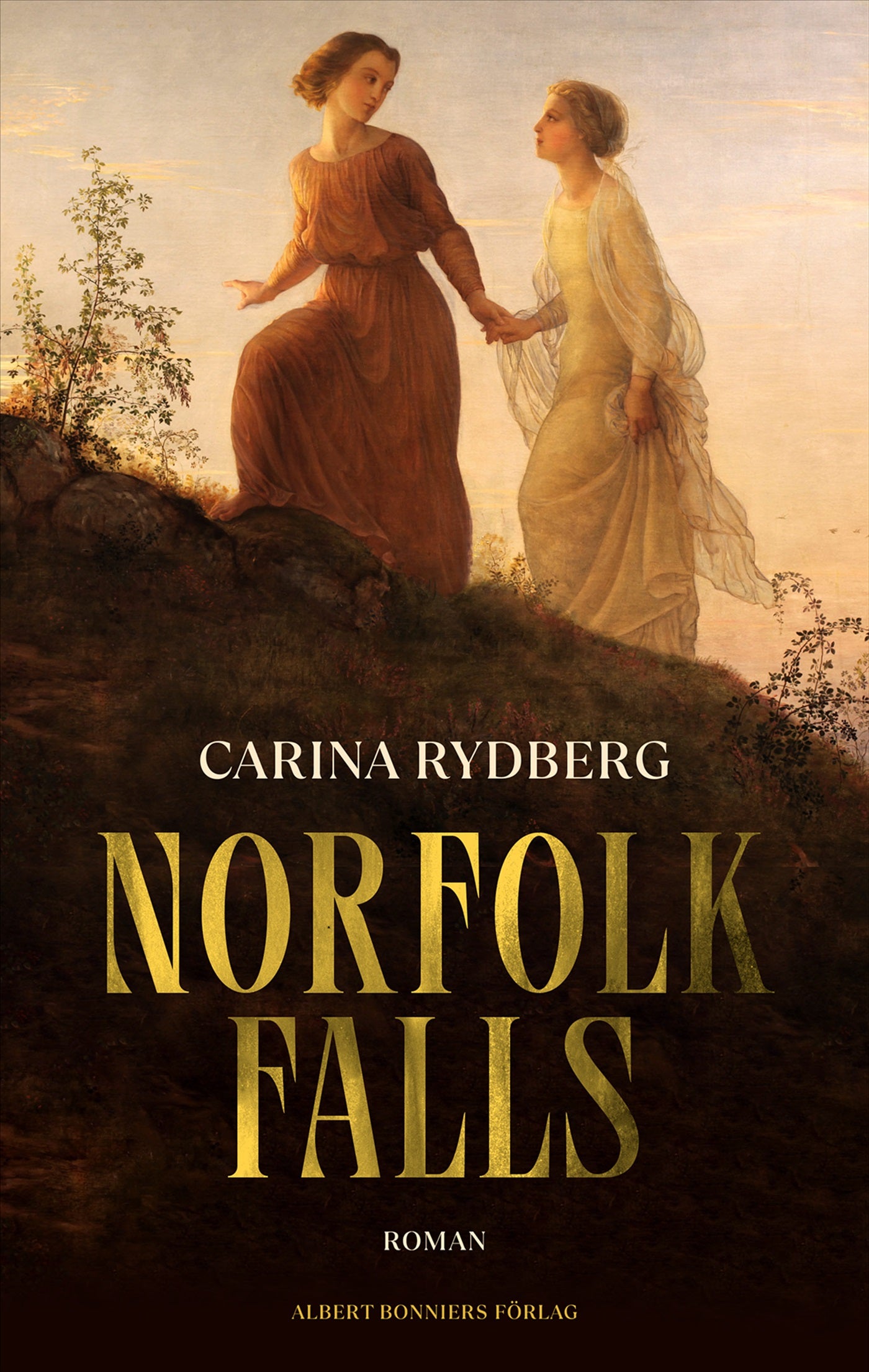 Norfolk Falls – E-bok