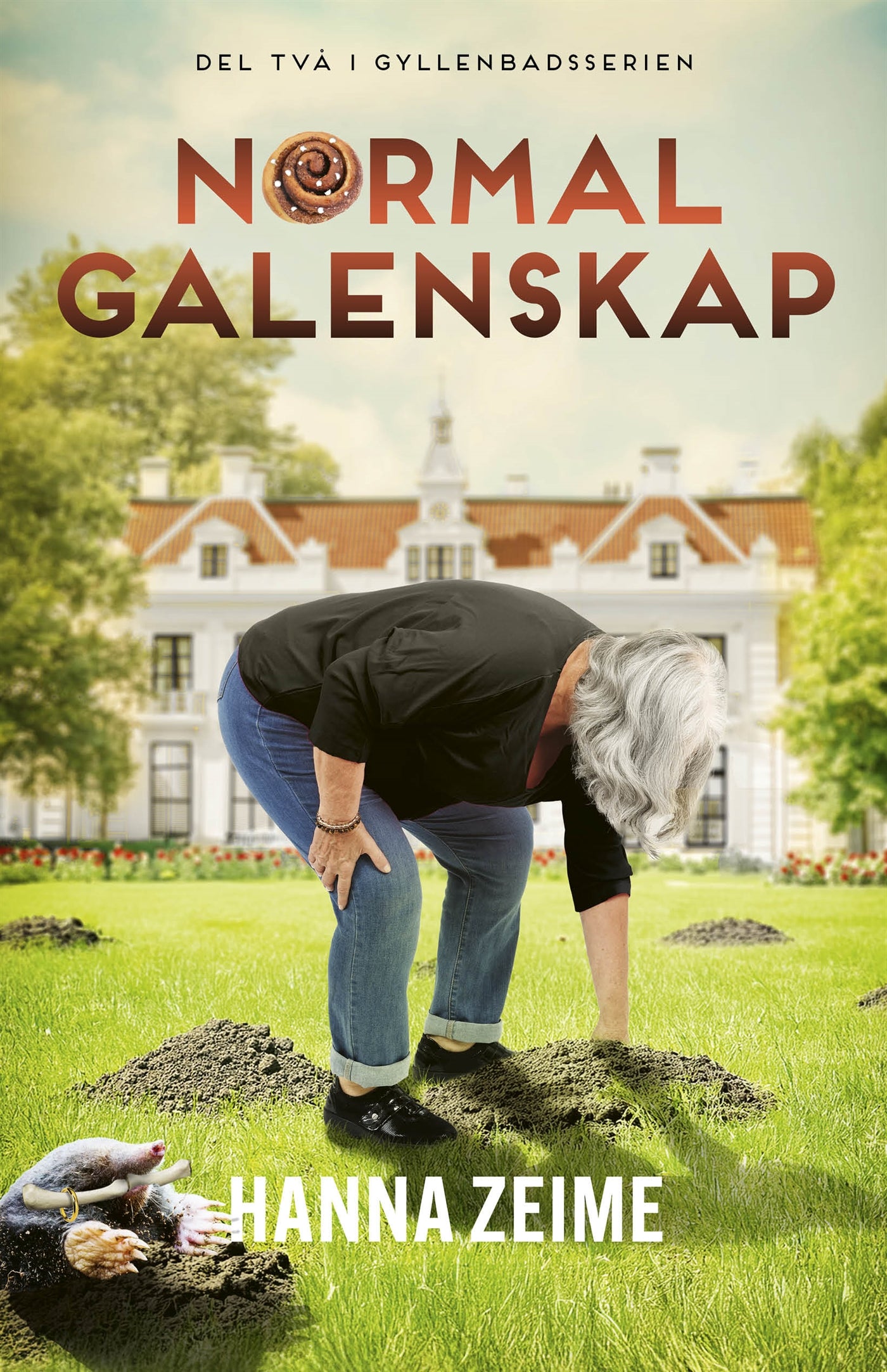 Normal galenskap – E-bok