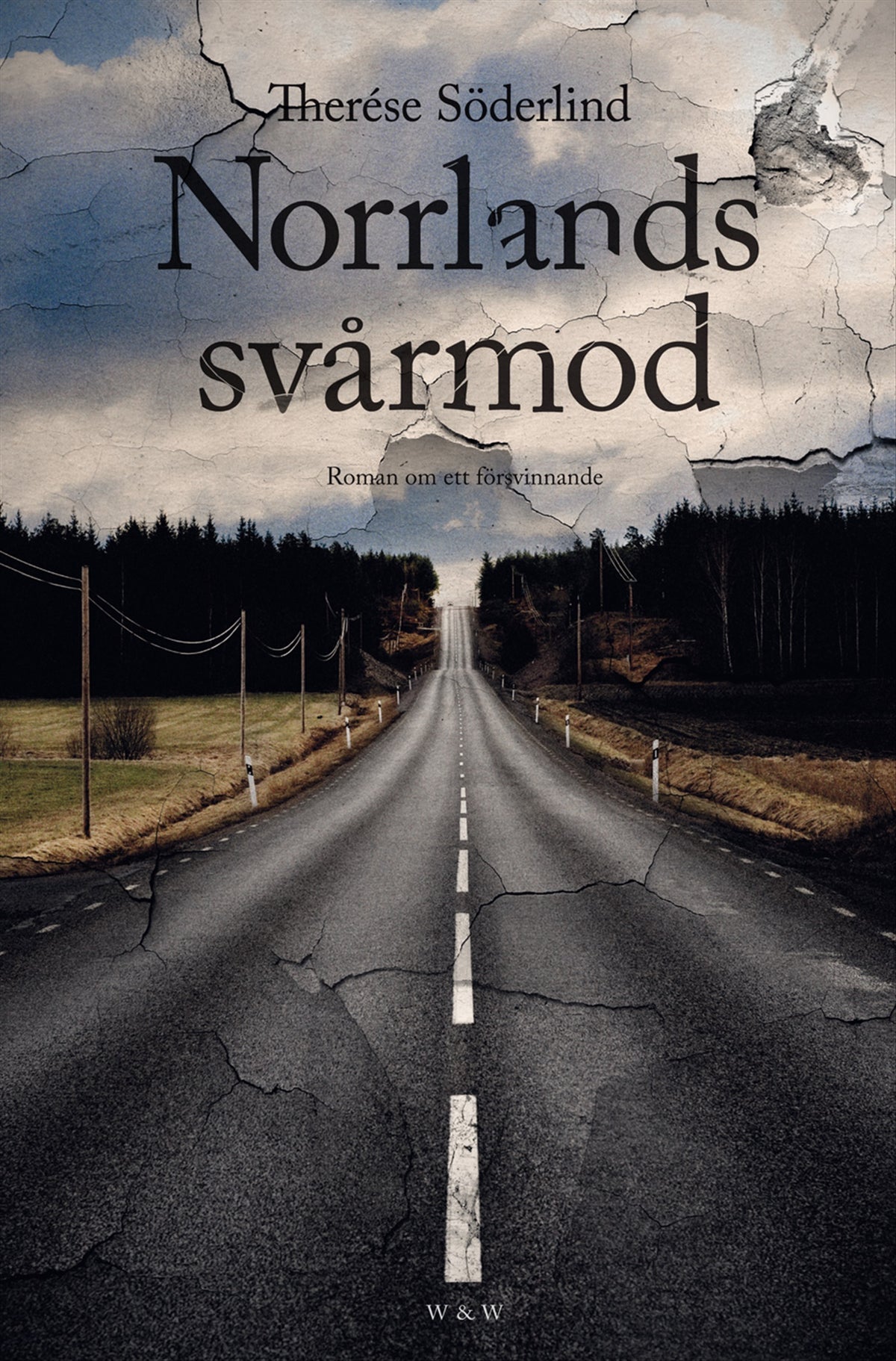 Norrlands svårmod : Roman om ett försvinnande – E-bok