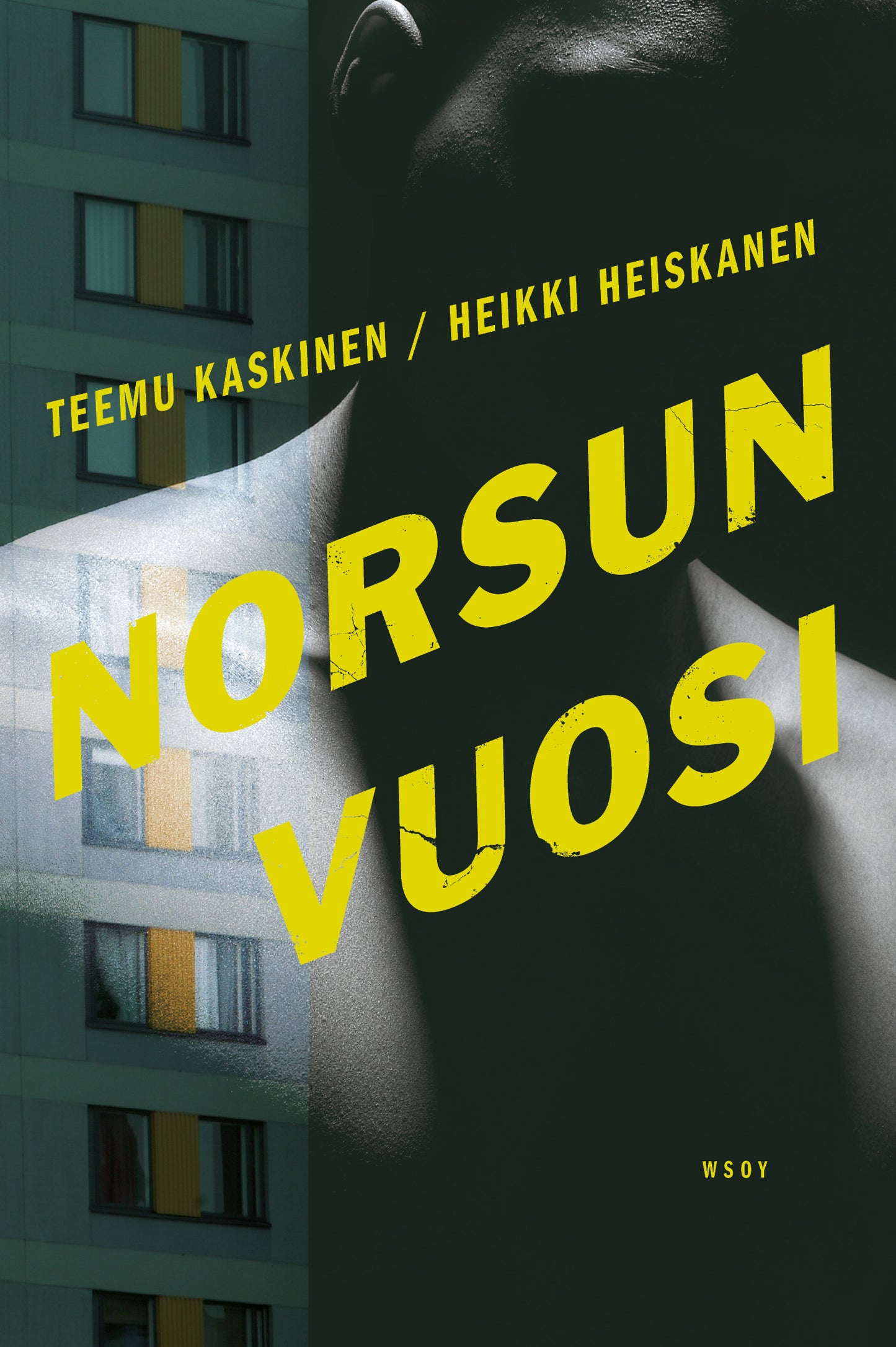 Norsun vuosi – E-bok