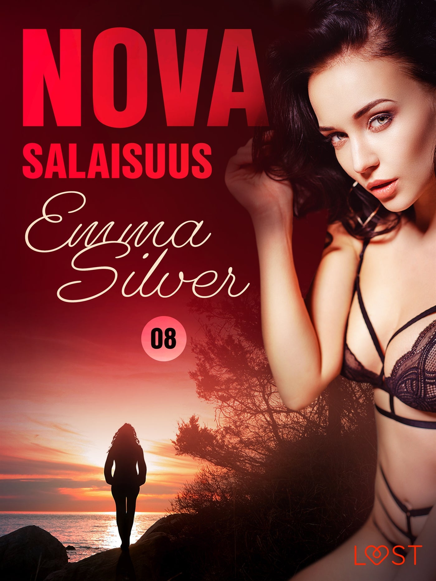 Nova 8: Salaisuus – eroottinen novelli – E-bok