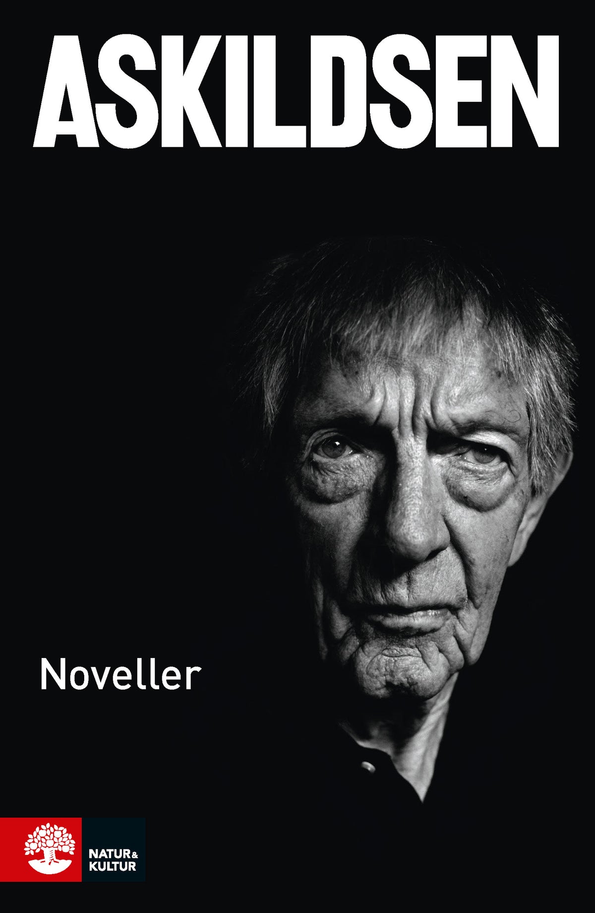 Noveller – E-bok
