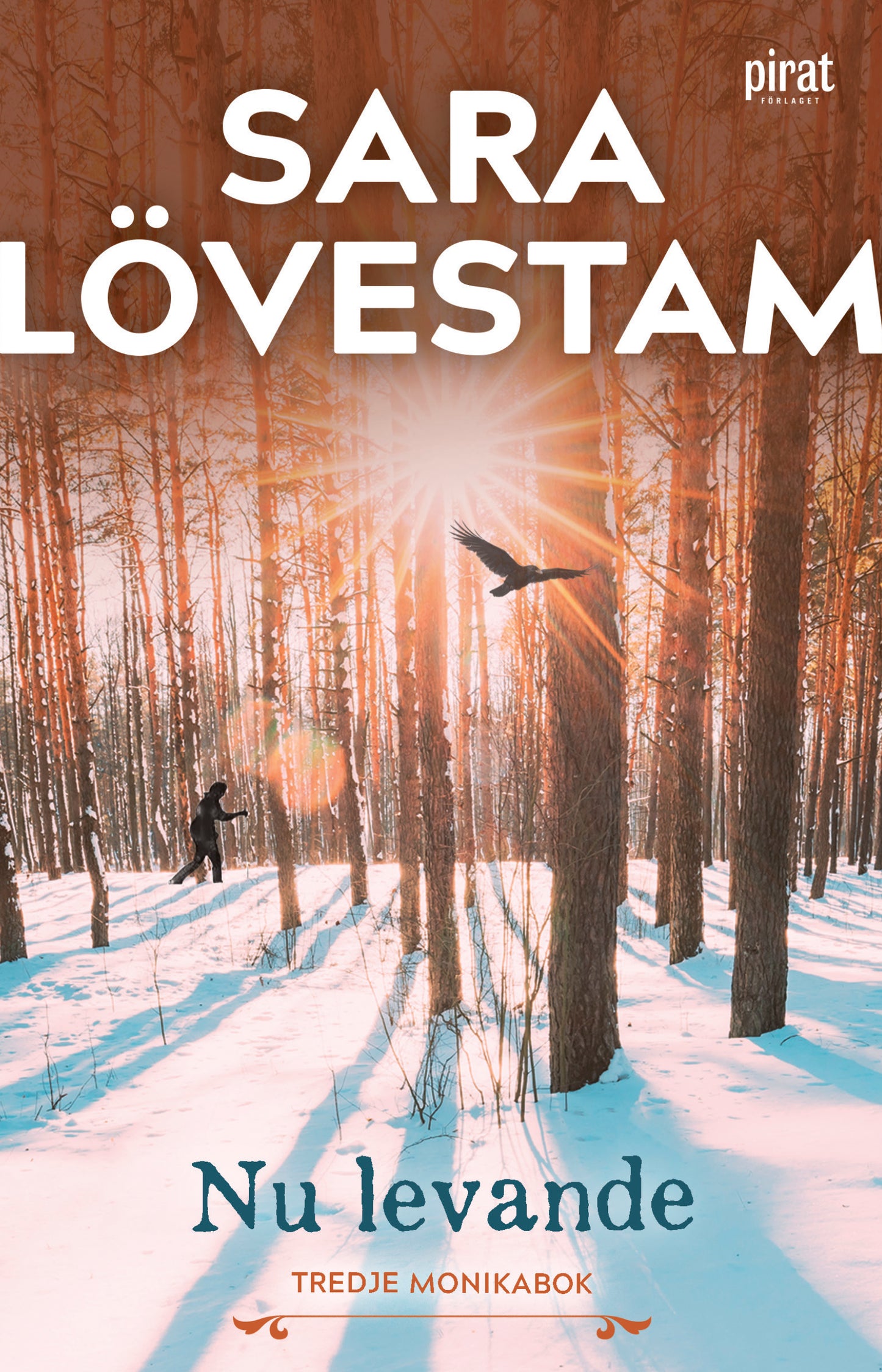 Nu levande : tredje Monikabok – E-bok