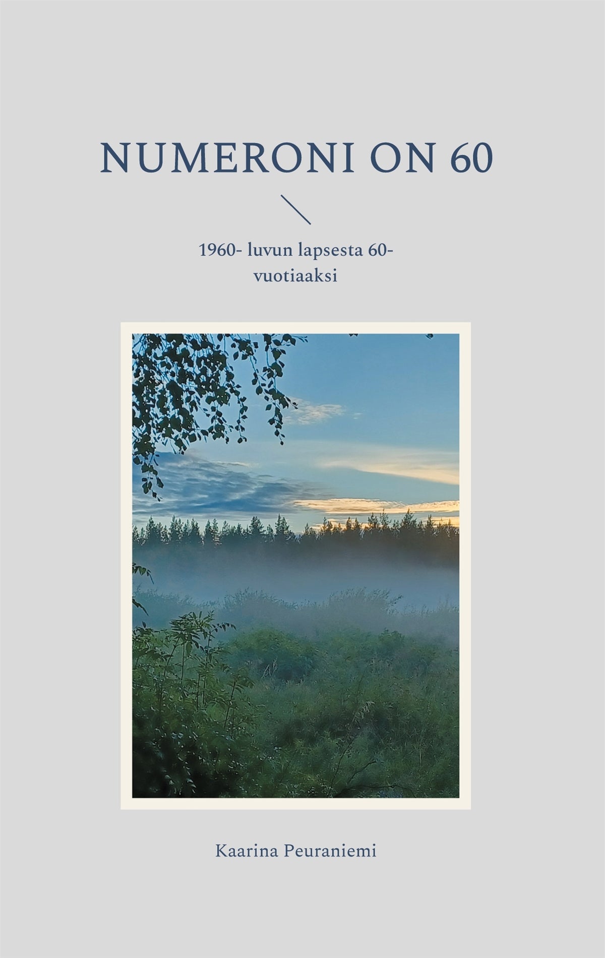 Numeroni on 60: 1960- luvun lapsesta 60- vuotiaaksi – E-bok