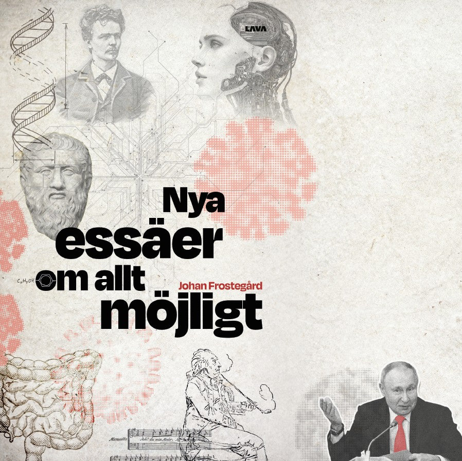 Nya essäer om allt möjligt – E-bok