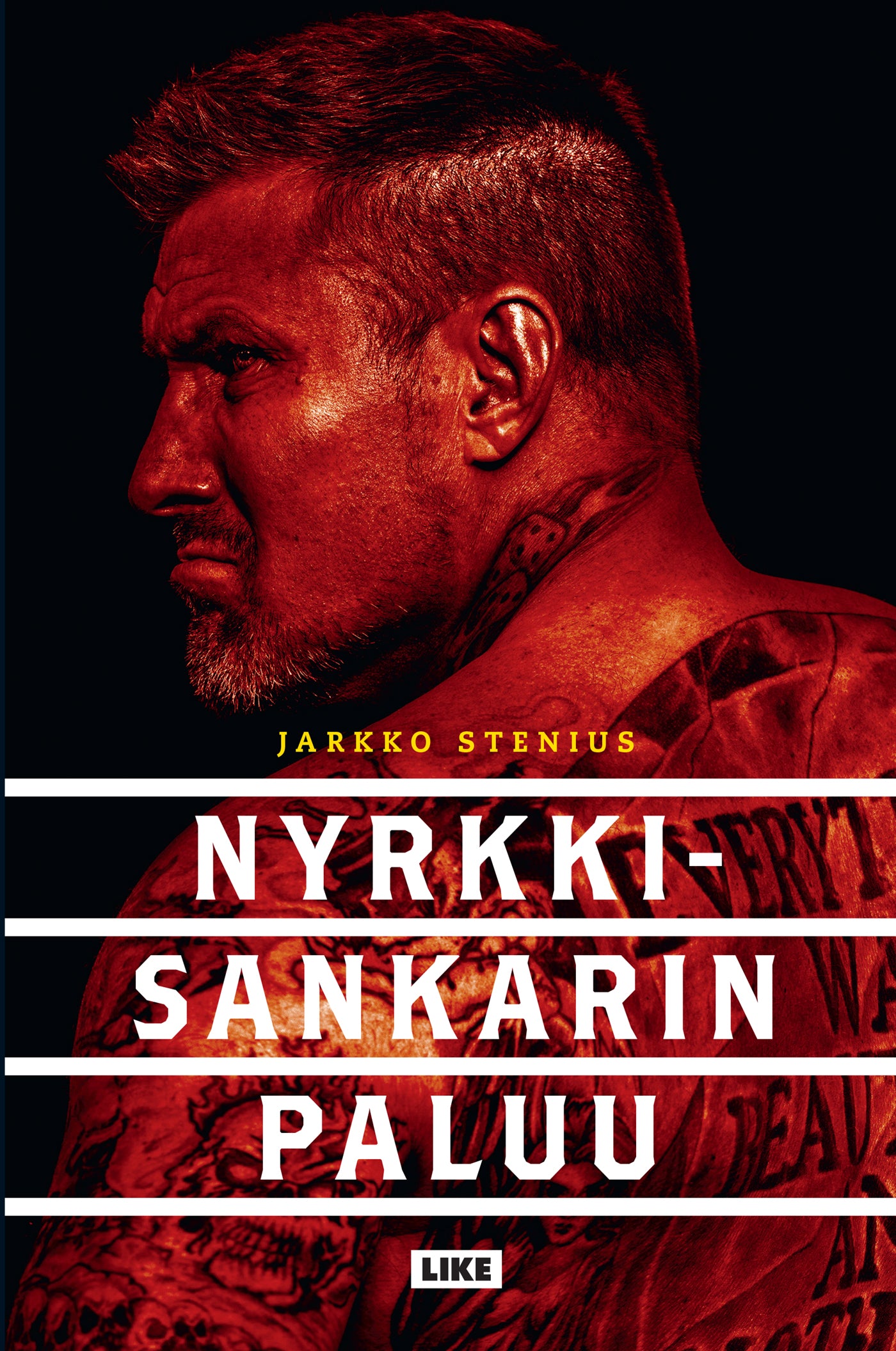 Nyrkkisankarin paluu – E-bok