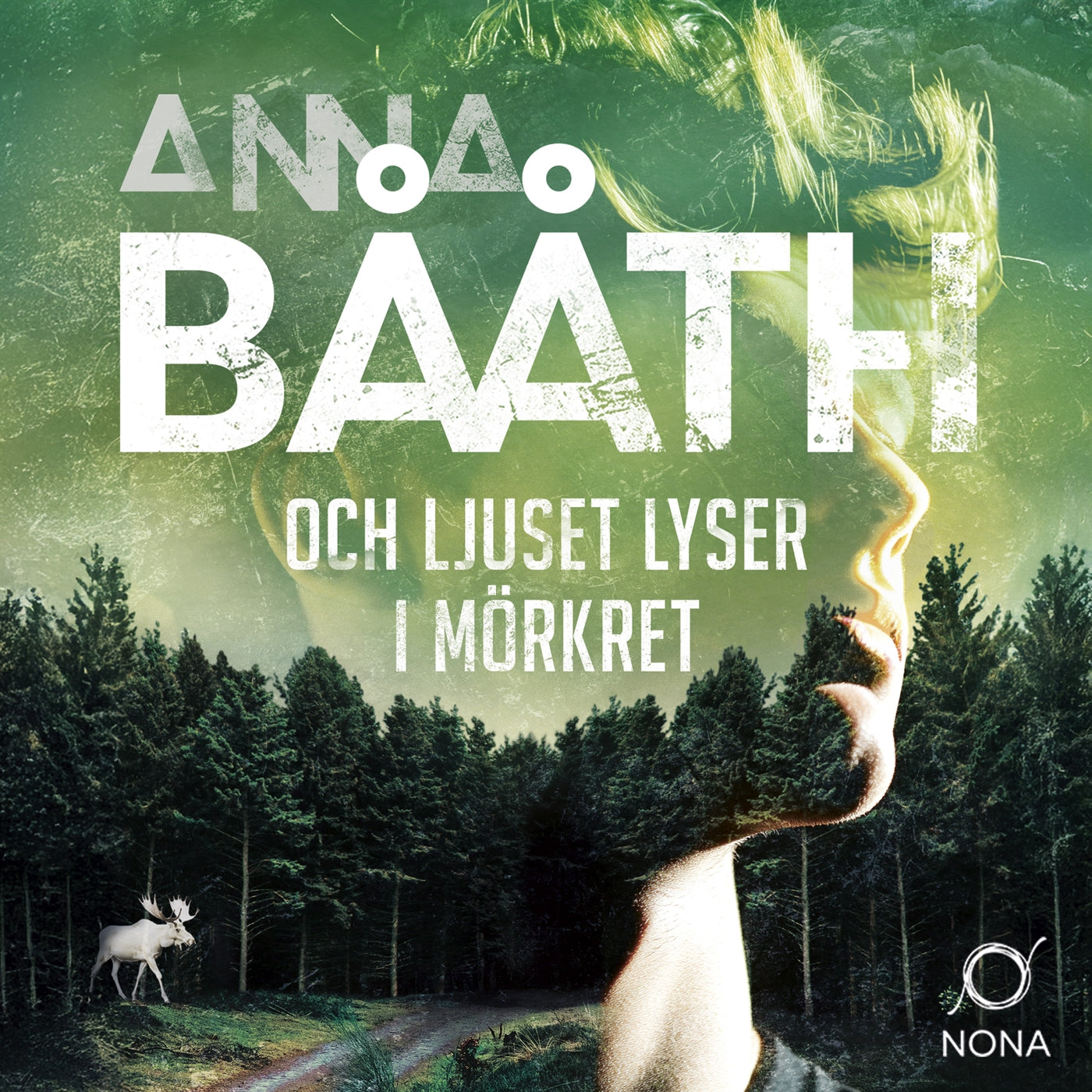 Och ljuset lyser i mörkret – Ljudbok